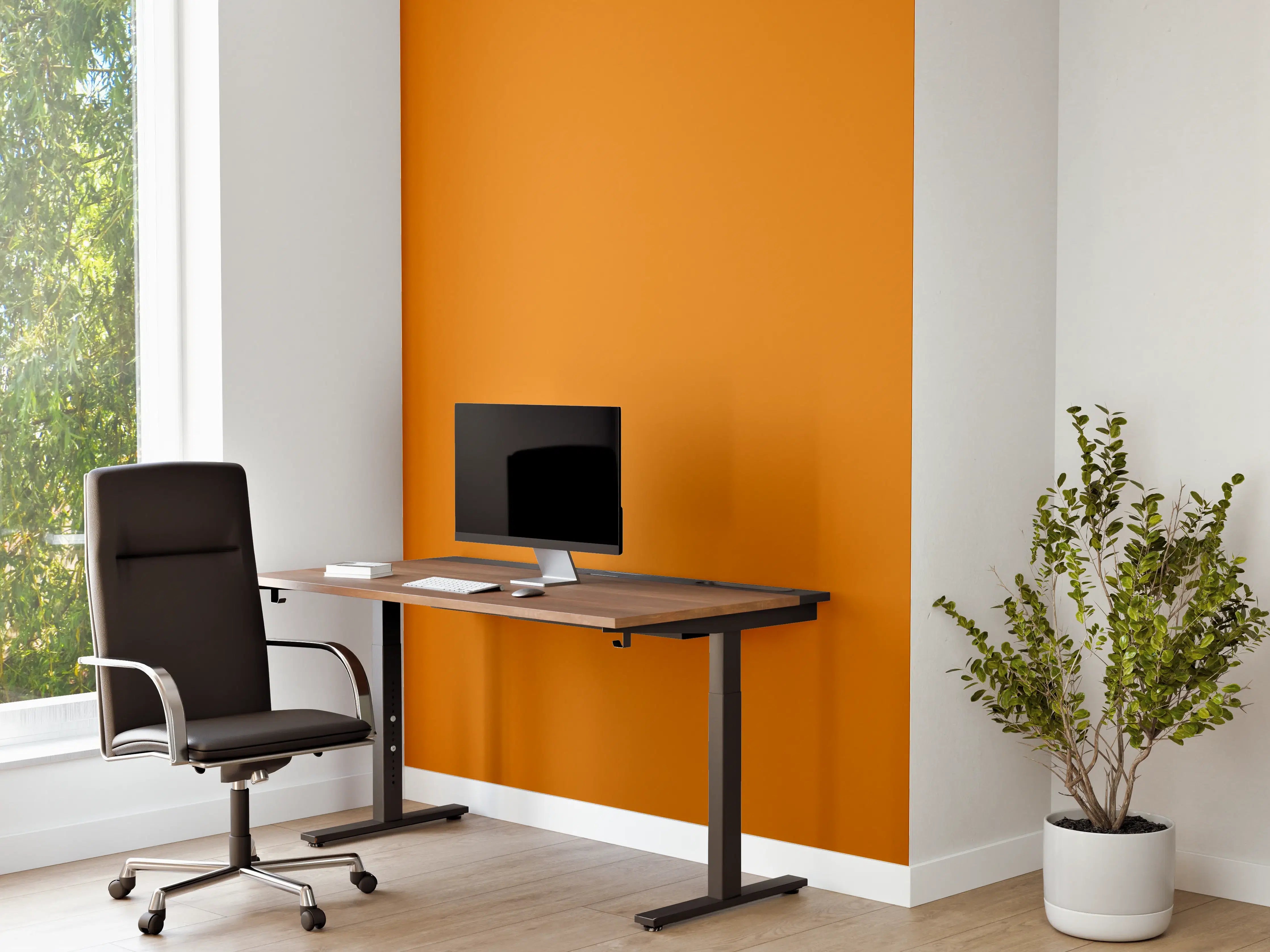 Büro Wandgestaltung - RAL 2000 (Gelborange)