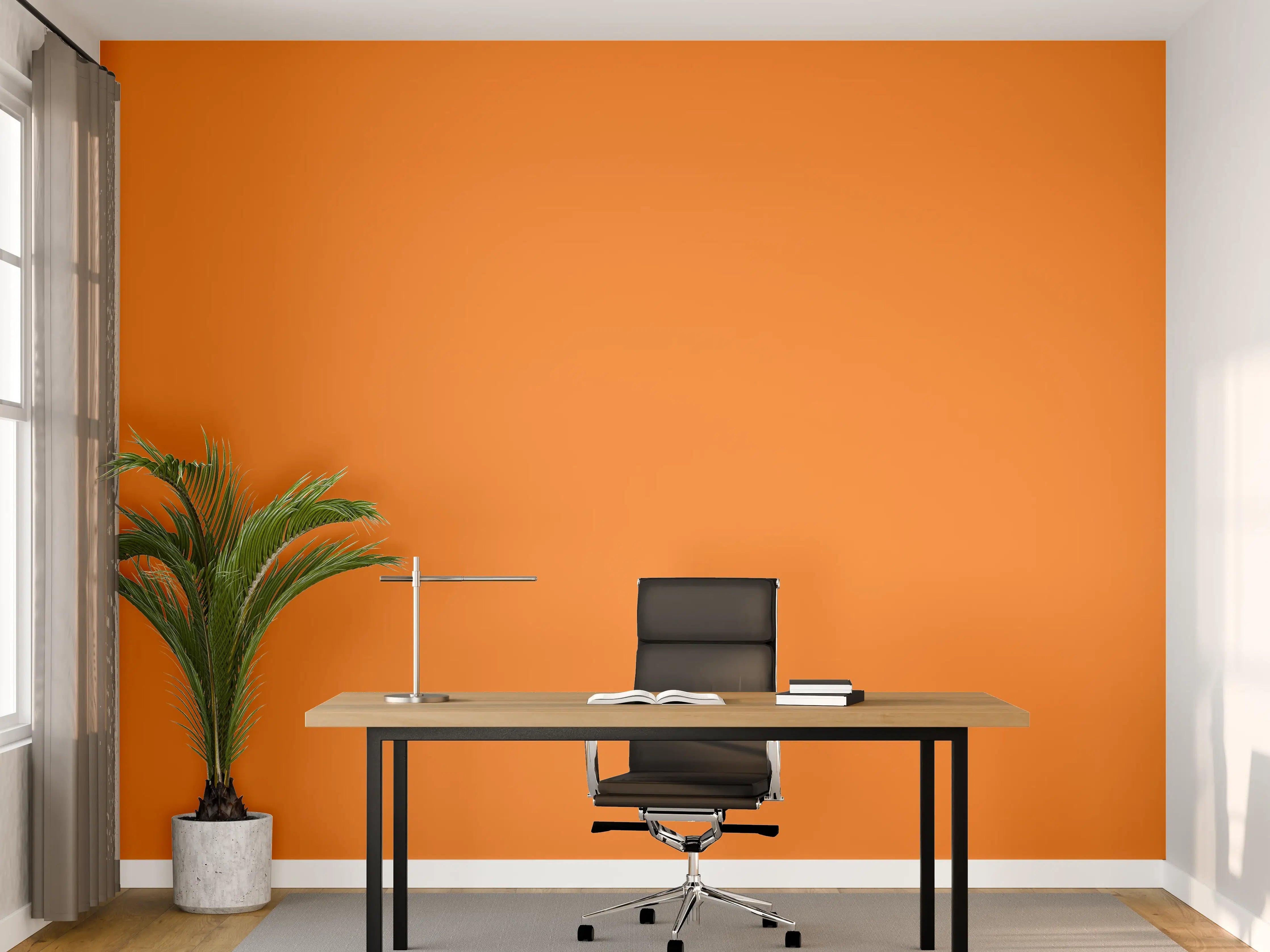 Büro Wandgestaltung - RAL 2003 (Pastellorange)