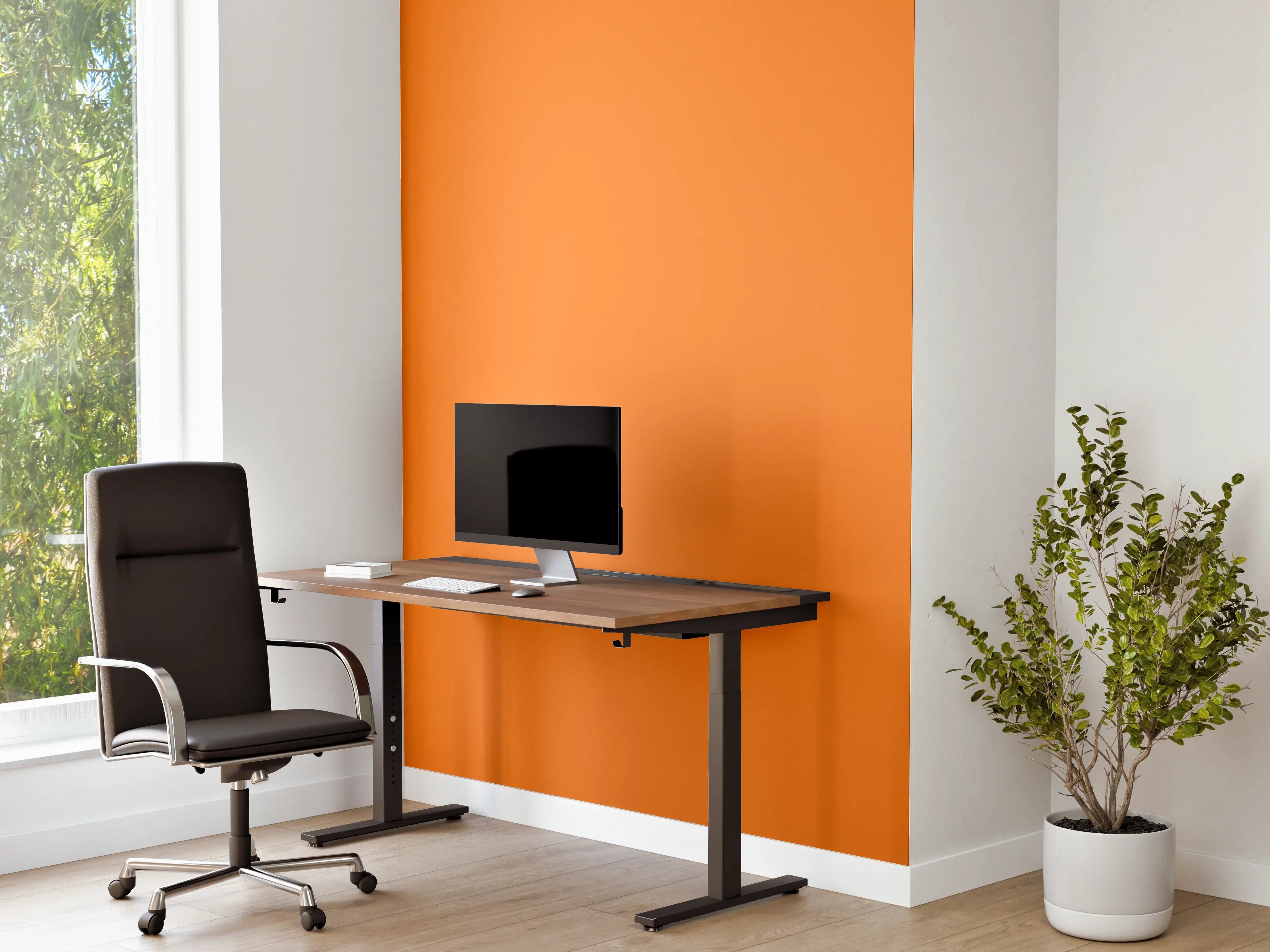Büro Wandgestaltung - RAL 2003 (Pastellorange)
