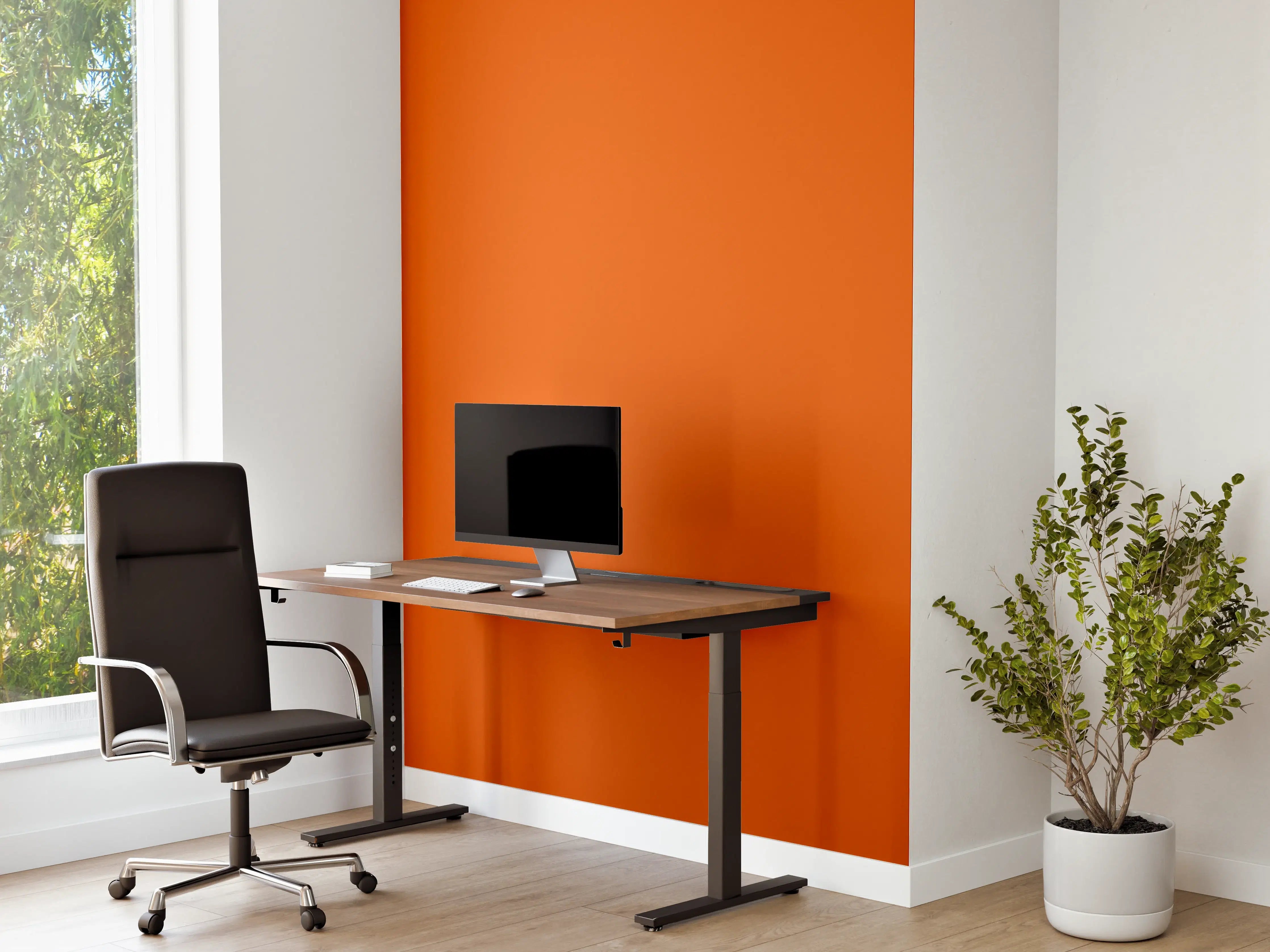 Büro Wandgestaltung - RAL 2009 (Verkehrsorange)