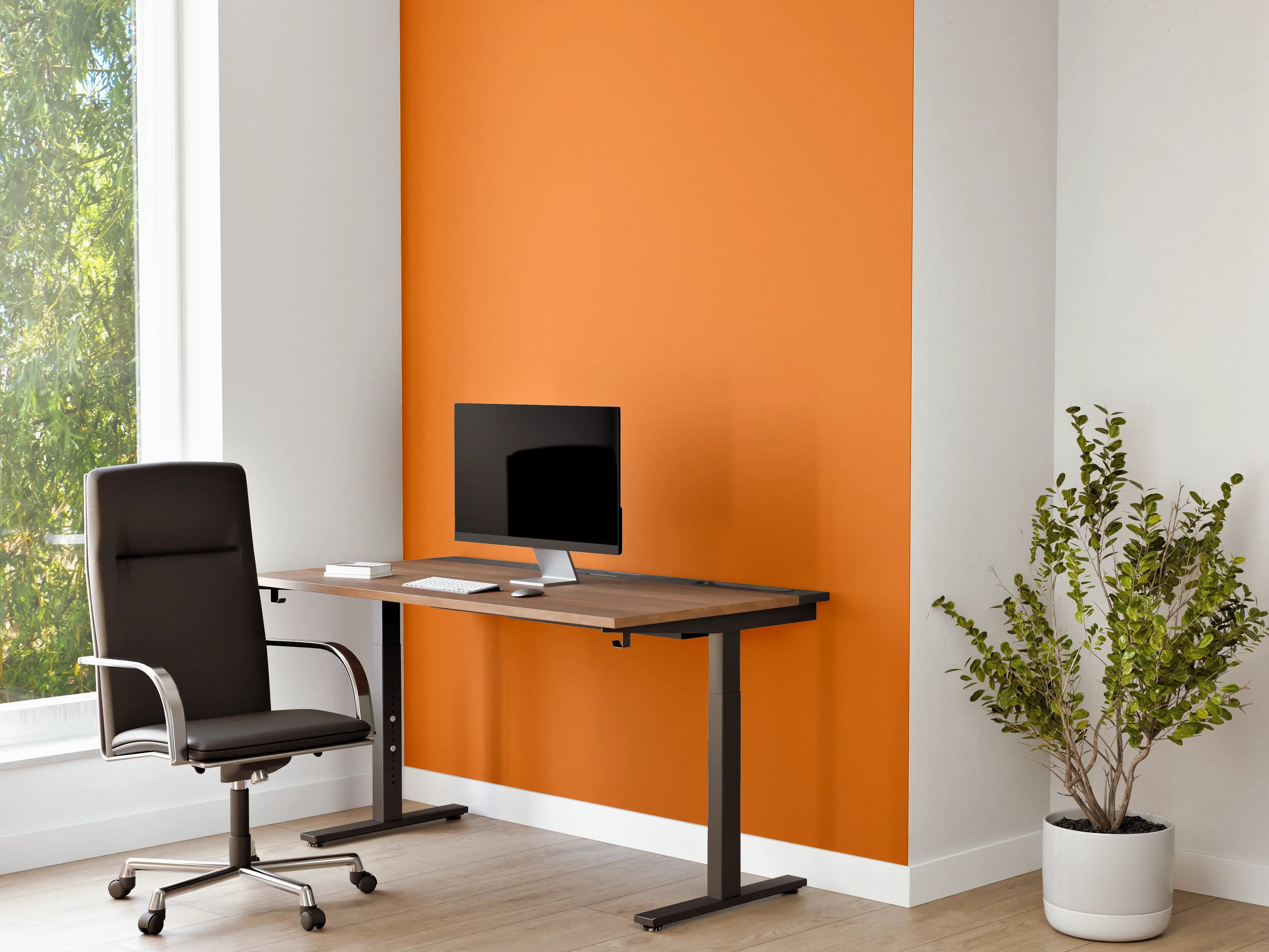 Büro Wandgestaltung - RAL 2011 (Tieforange)