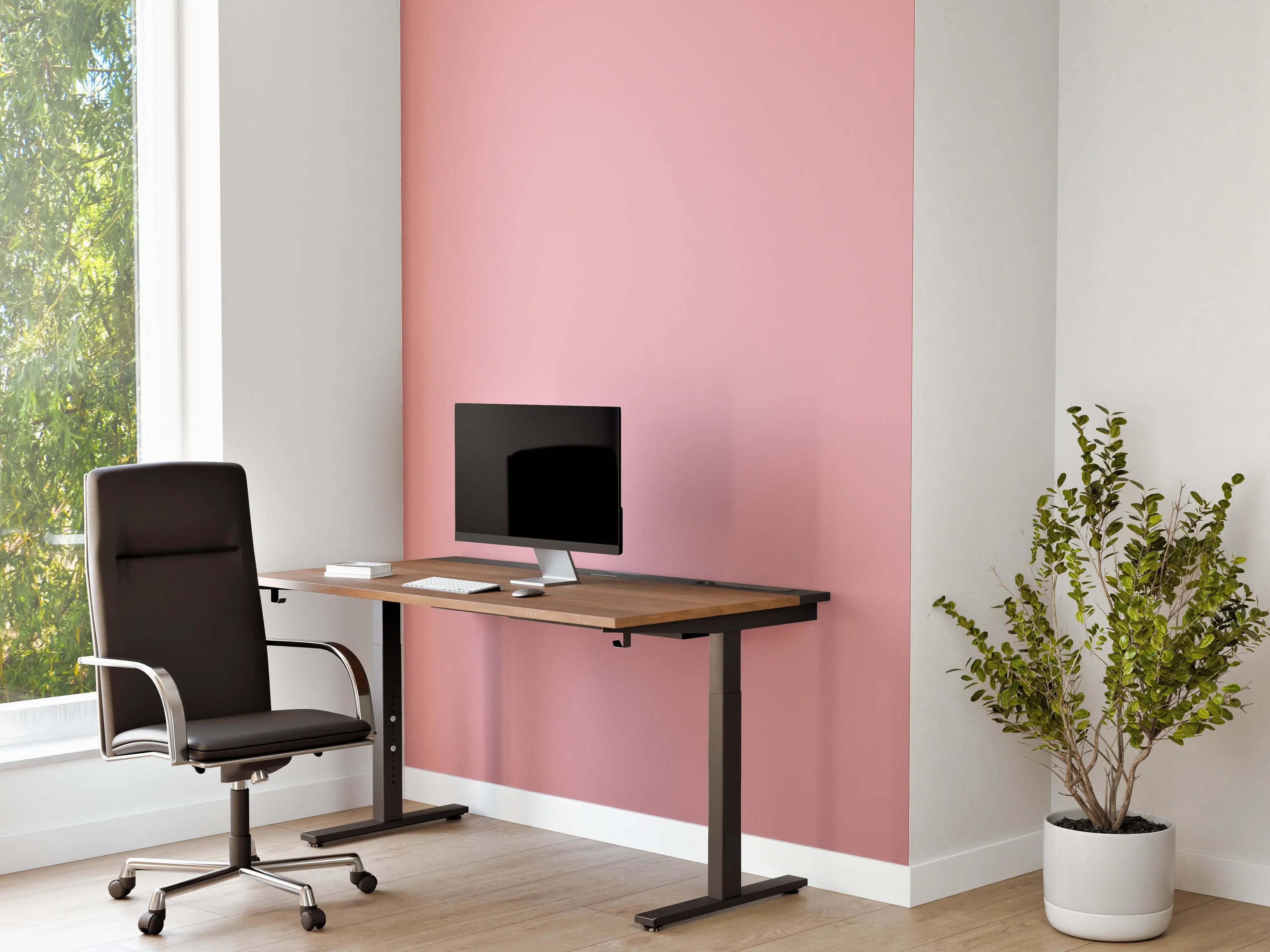 Büro Wandgestaltung - RAL 3015 (Hellrosa)