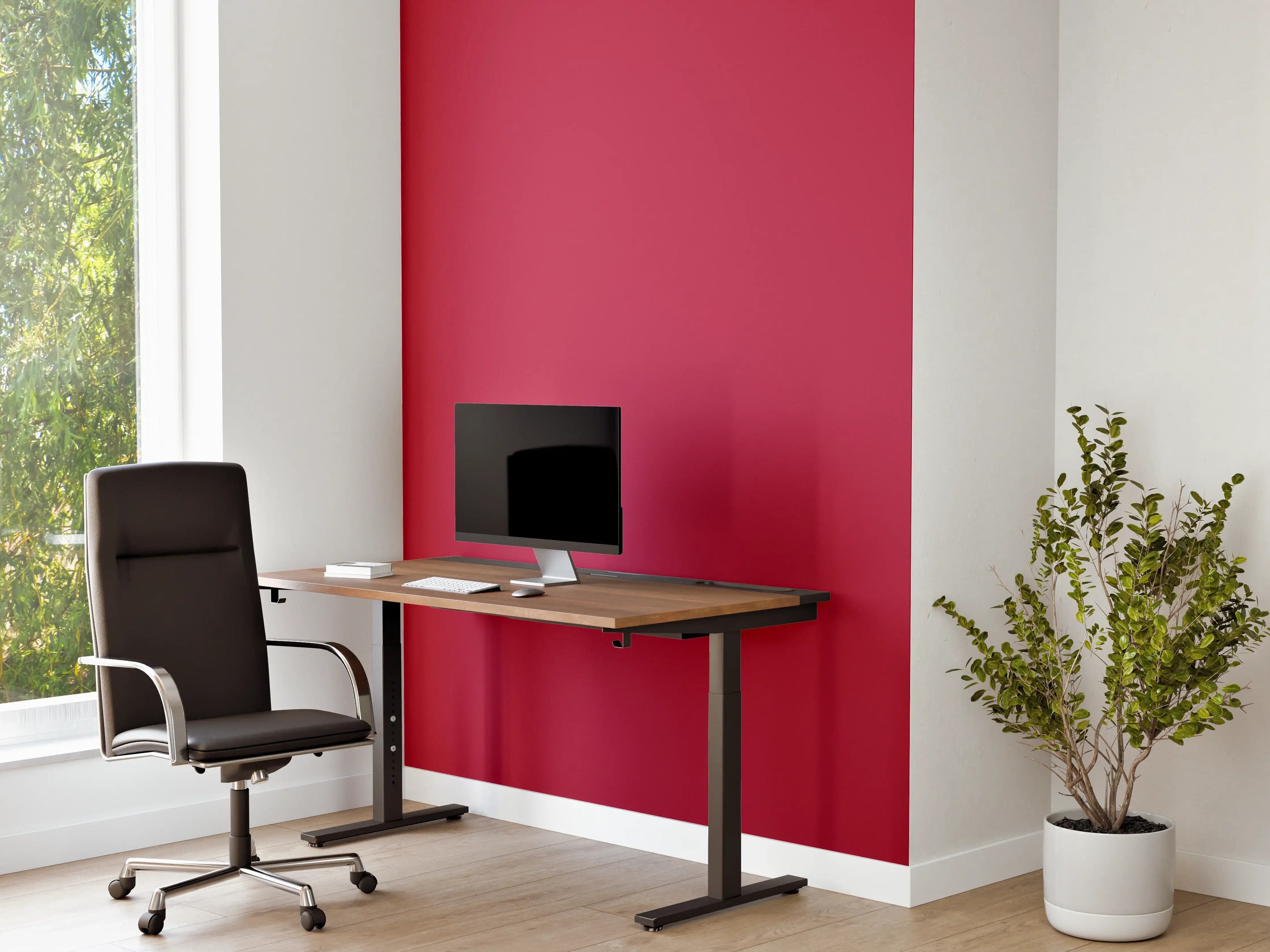 Büro Wandgestaltung - RAL 3027 (Himbeerrot)