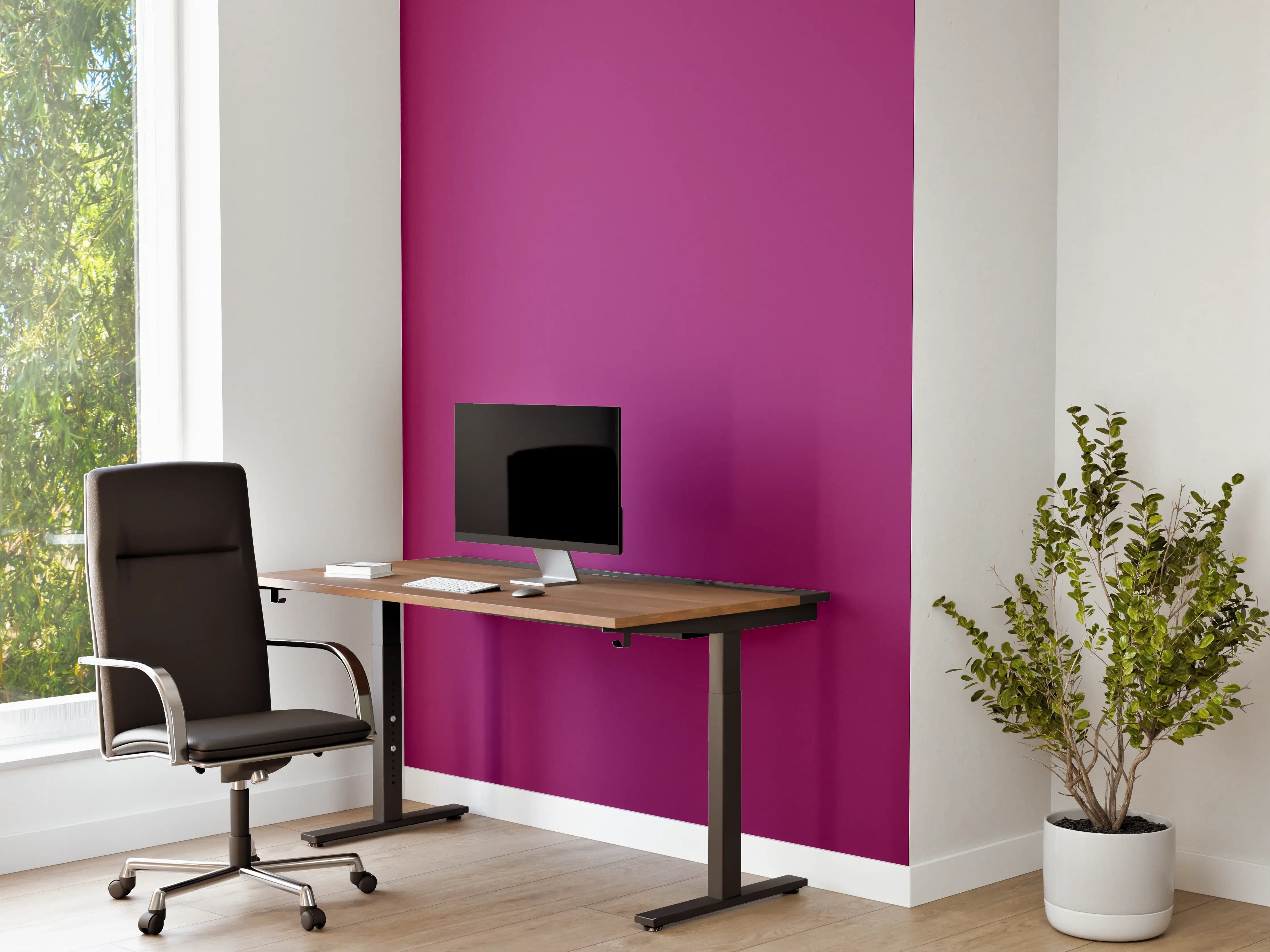 Büro Wandgestaltung - RAL 4006 (Verkehrsviolett)