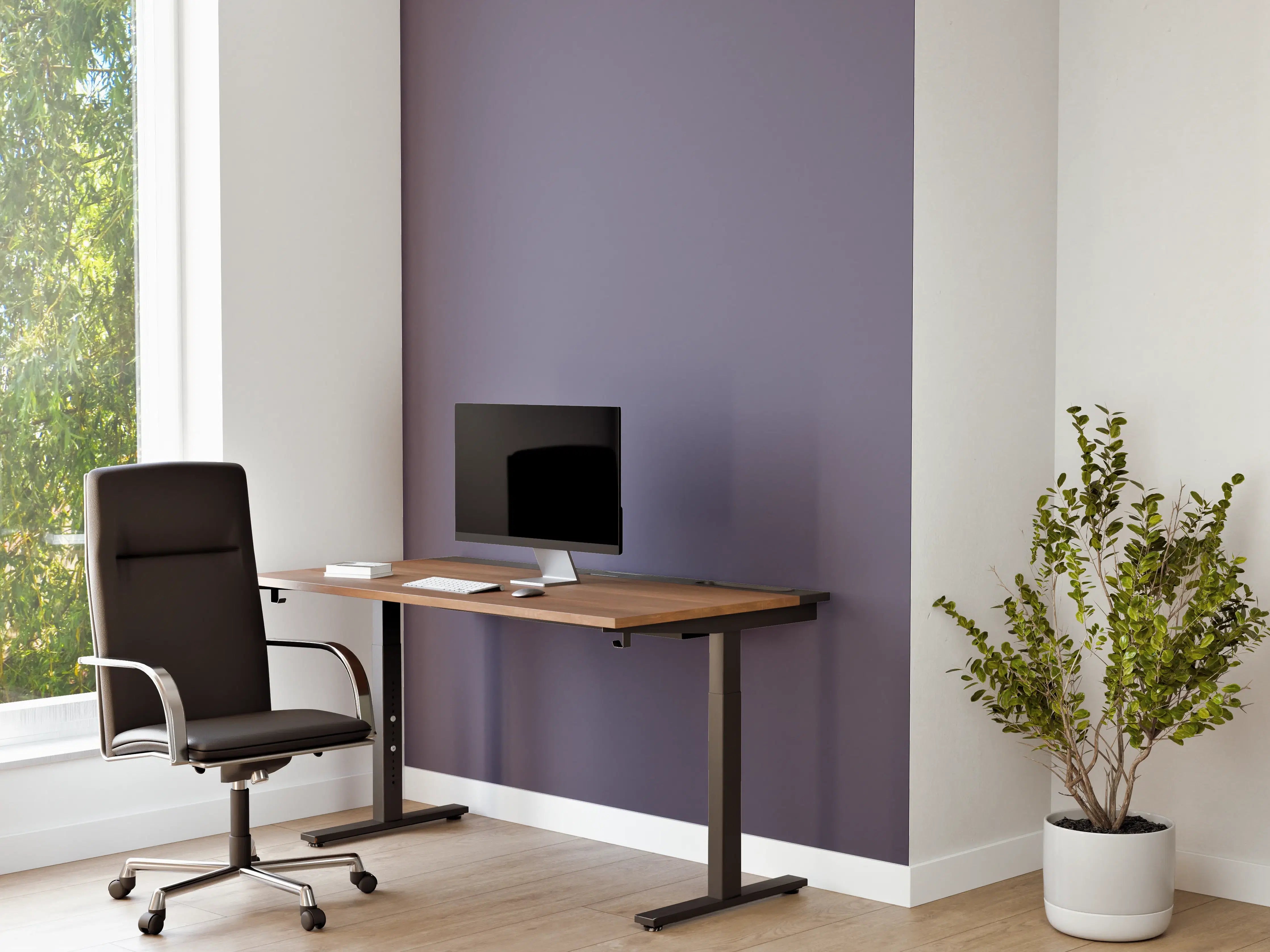 Büro Wandgestaltung - RAL 4012 (Perlbrombeere)