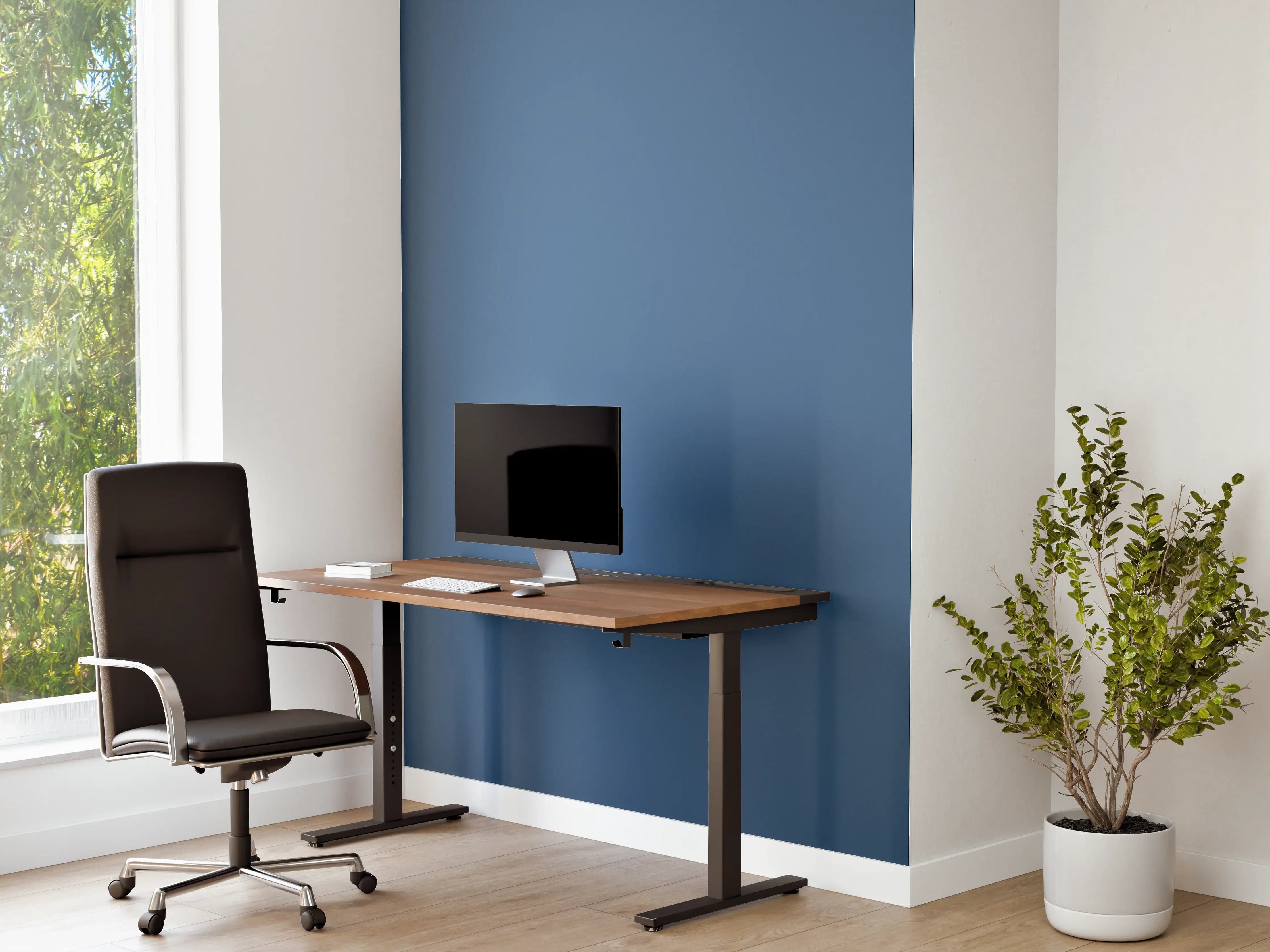 Büro Wandgestaltung - RAL 5007 (Brillantblau)