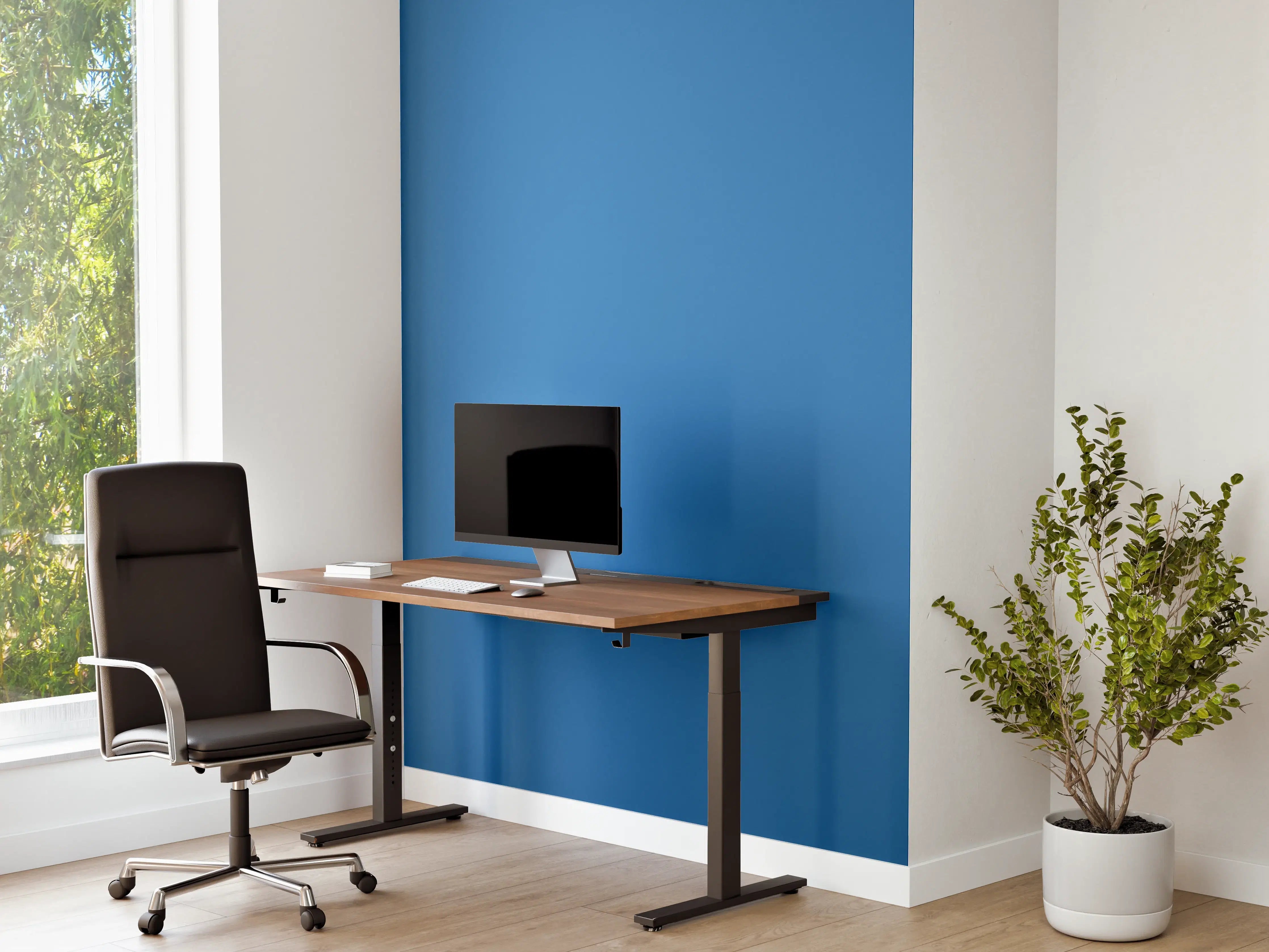 Büro Wandgestaltung - RAL 5015 (Himmelblau)