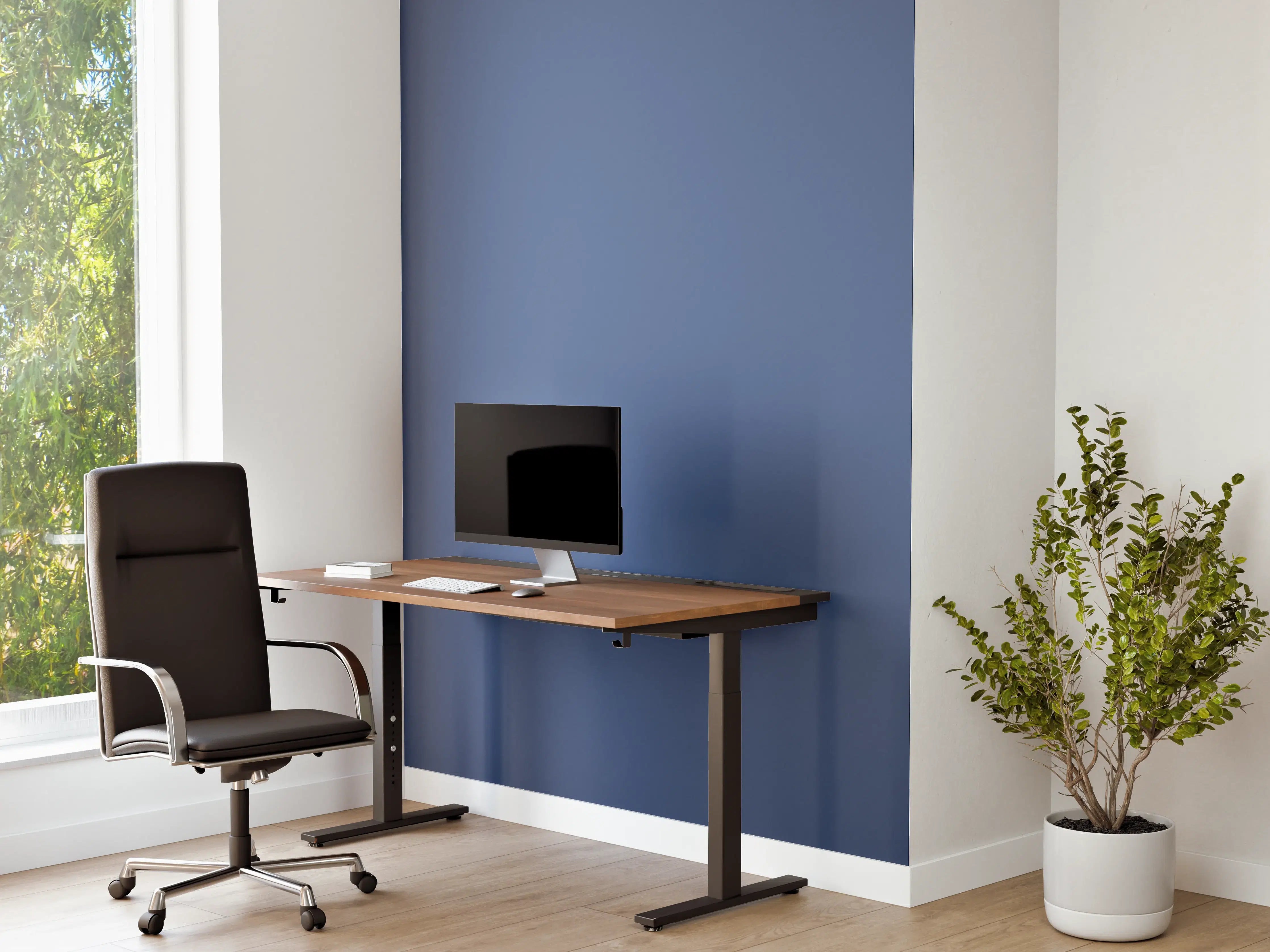 Büro Wandgestaltung - RAL 5023 (Entferntes Blau)