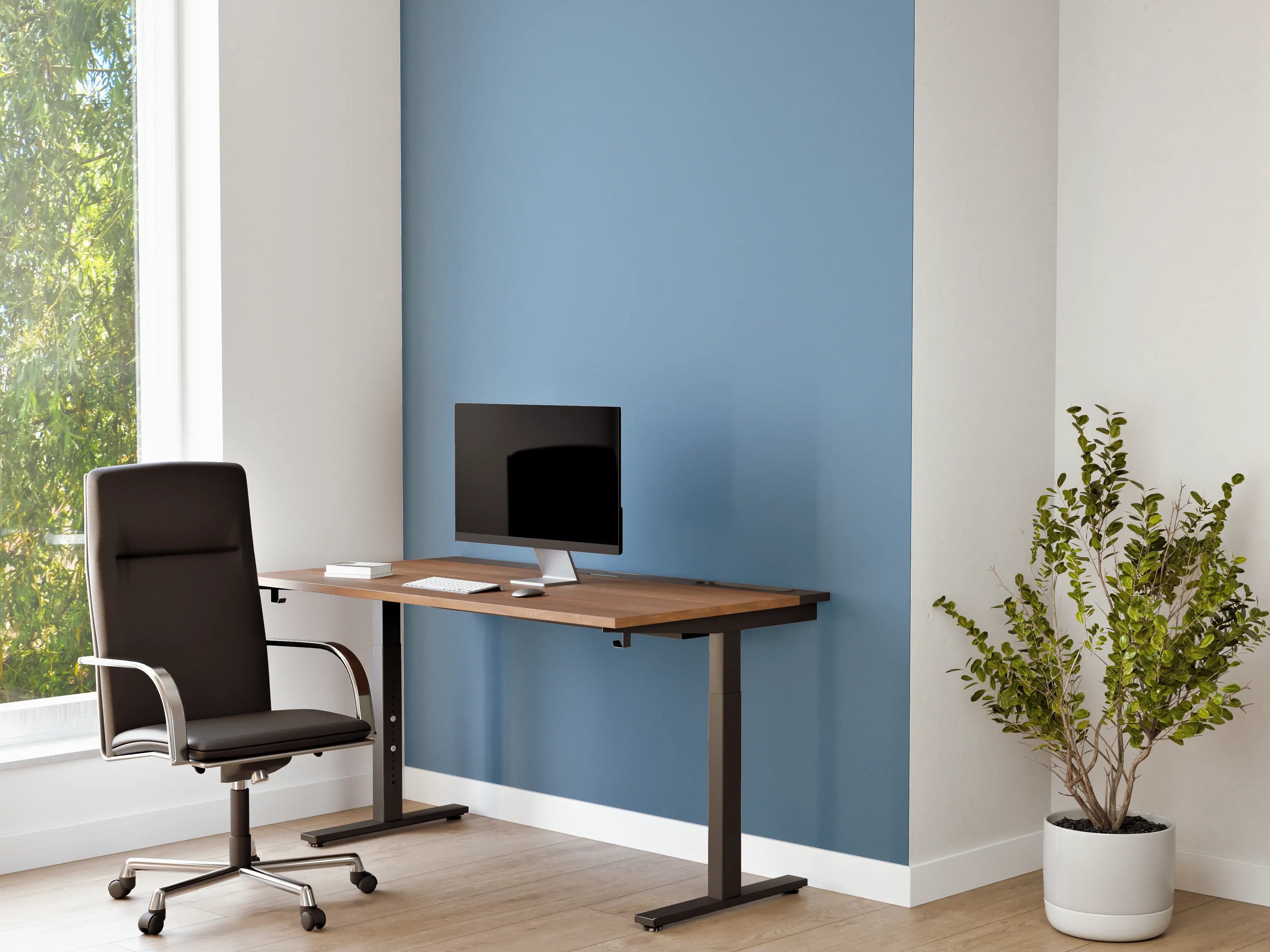 Büro Wandgestaltung - RAL 5024 (Pastellblau)