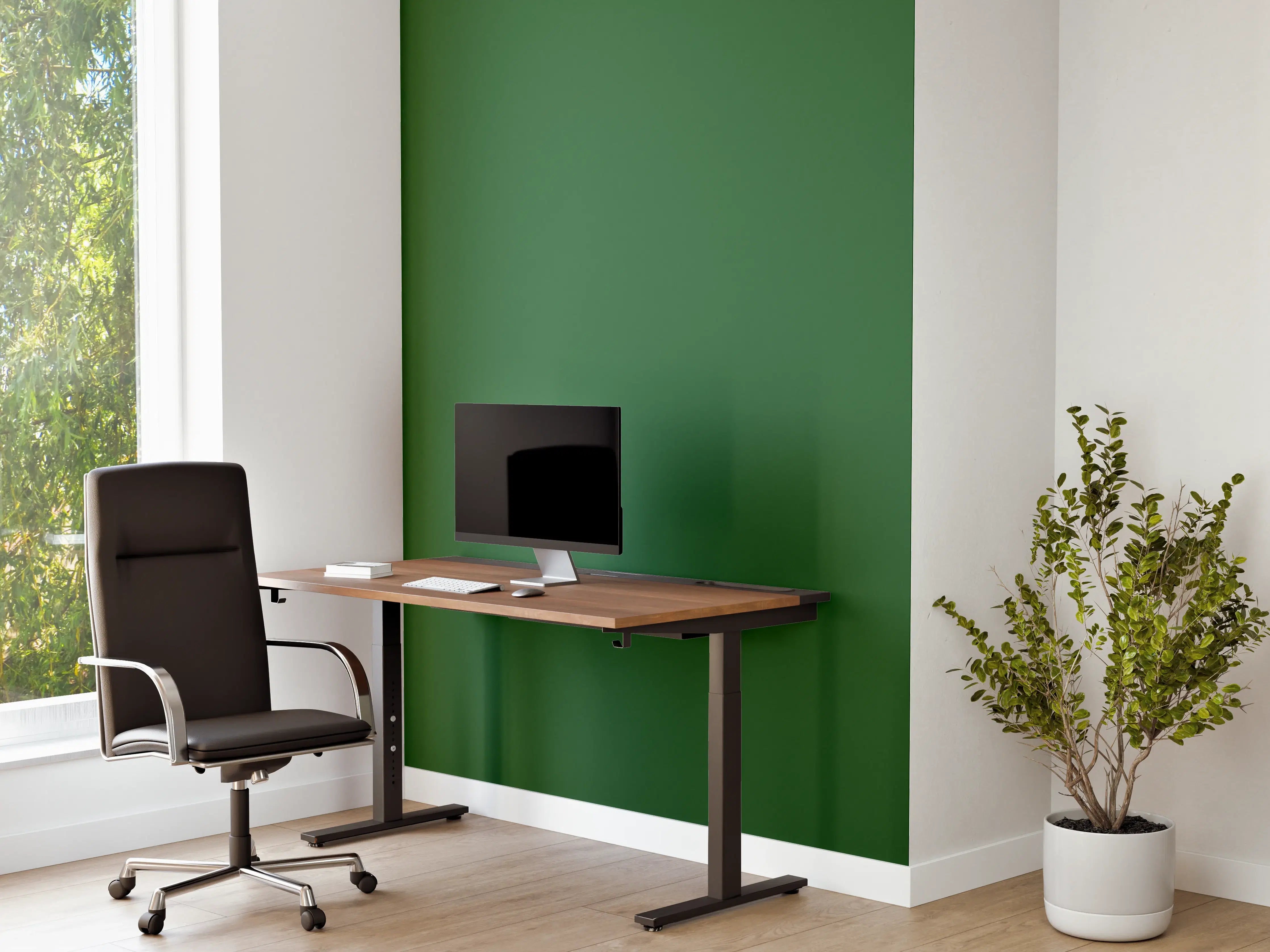 Büro Wandgestaltung - RAL 6002 (Laubgrün)