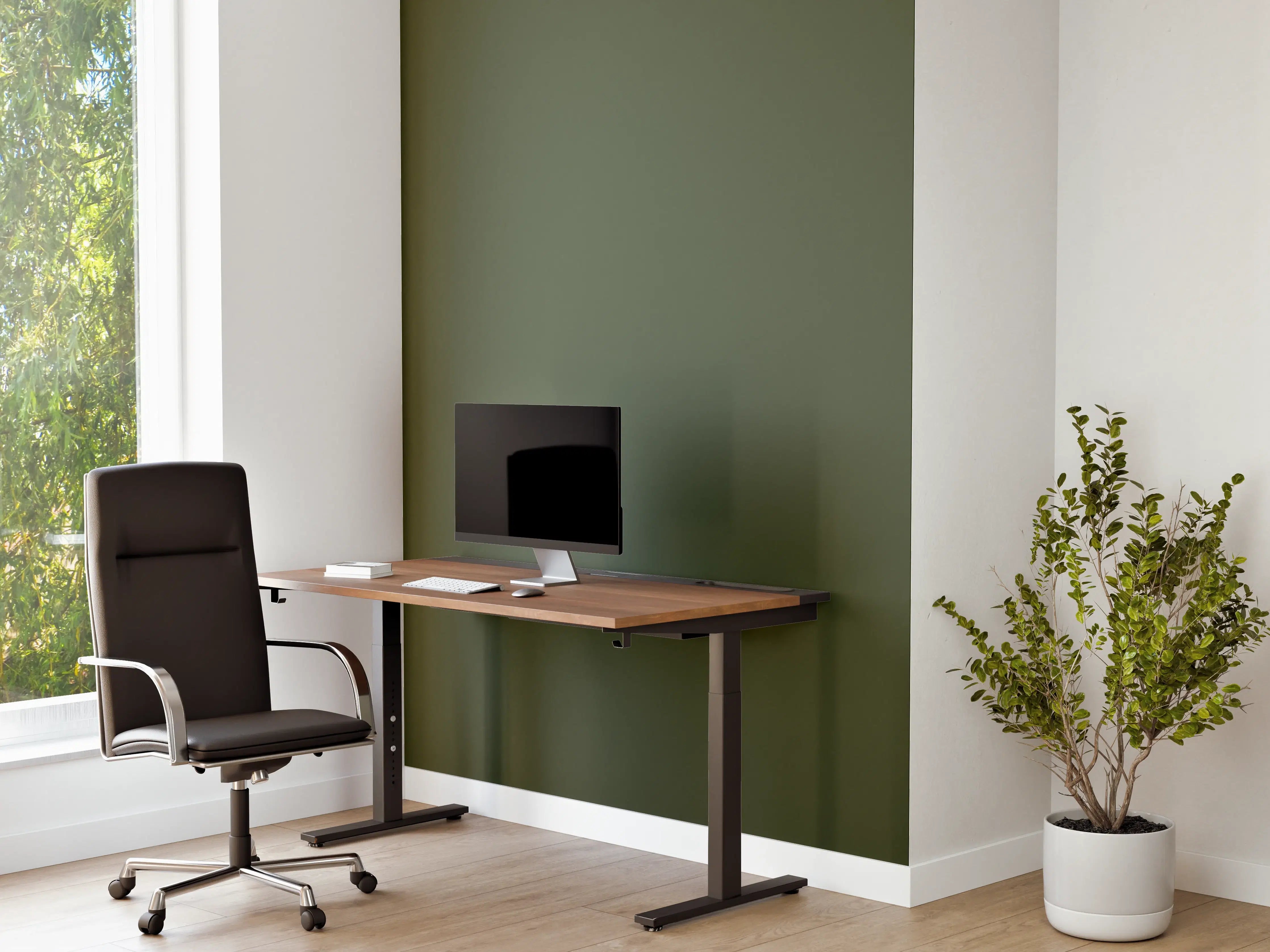 Büro Wandgestaltung - RAL 6003 (olivgrün)