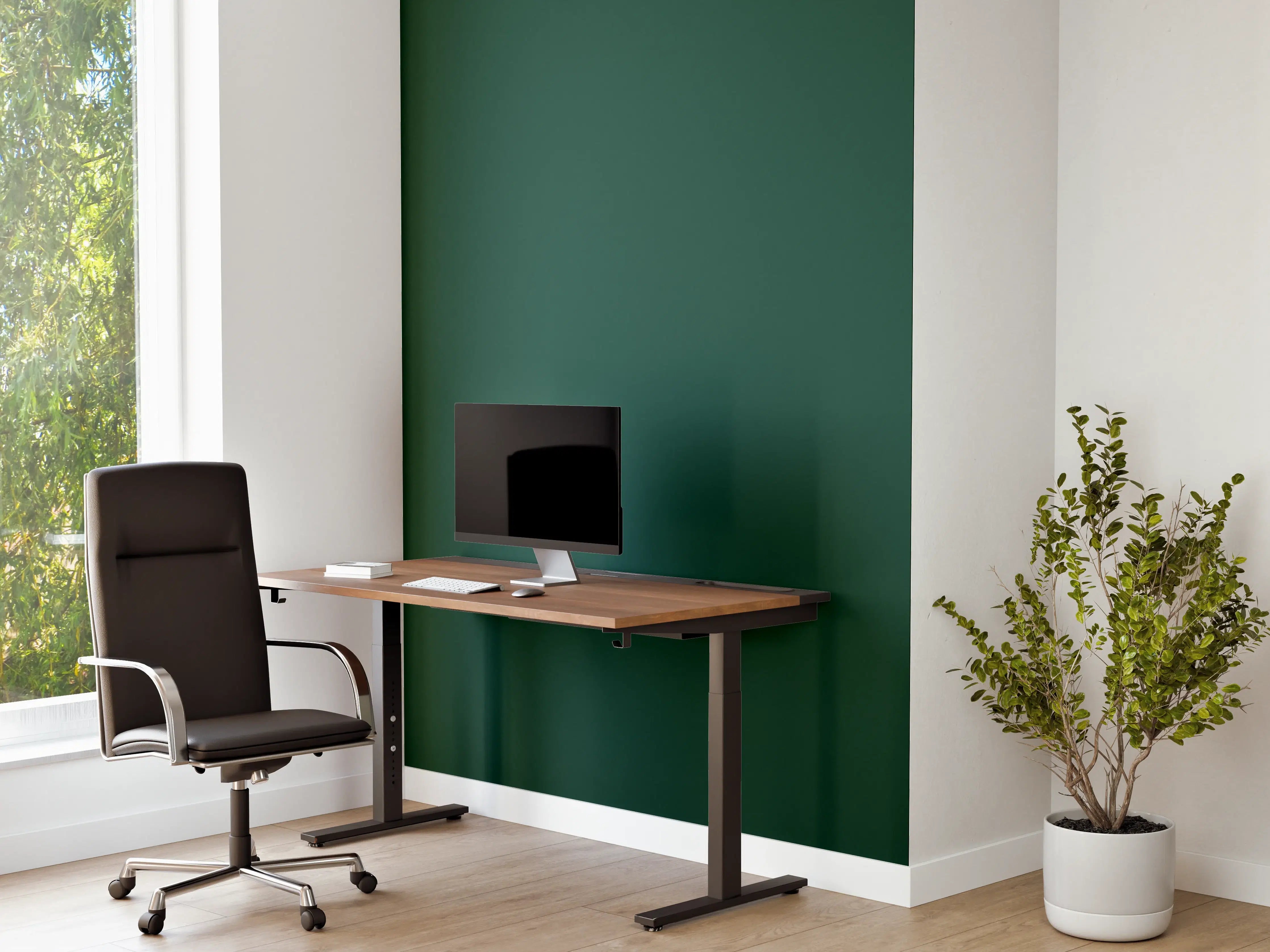 Büro Wandgestaltung - RAL 6005 (Moosgrün)