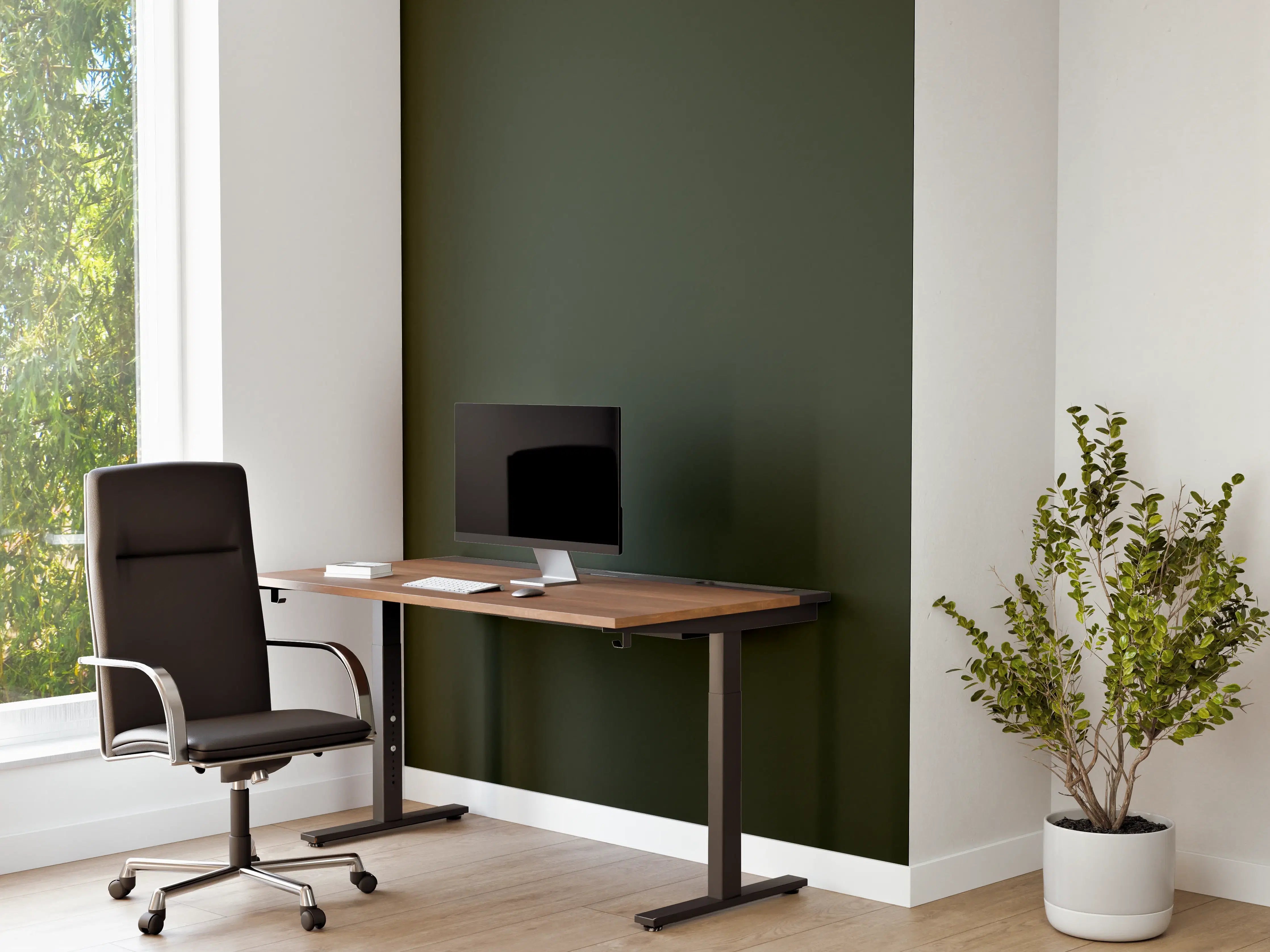 Büro Wandgestaltung - RAL 6007 (Flaschengrün)