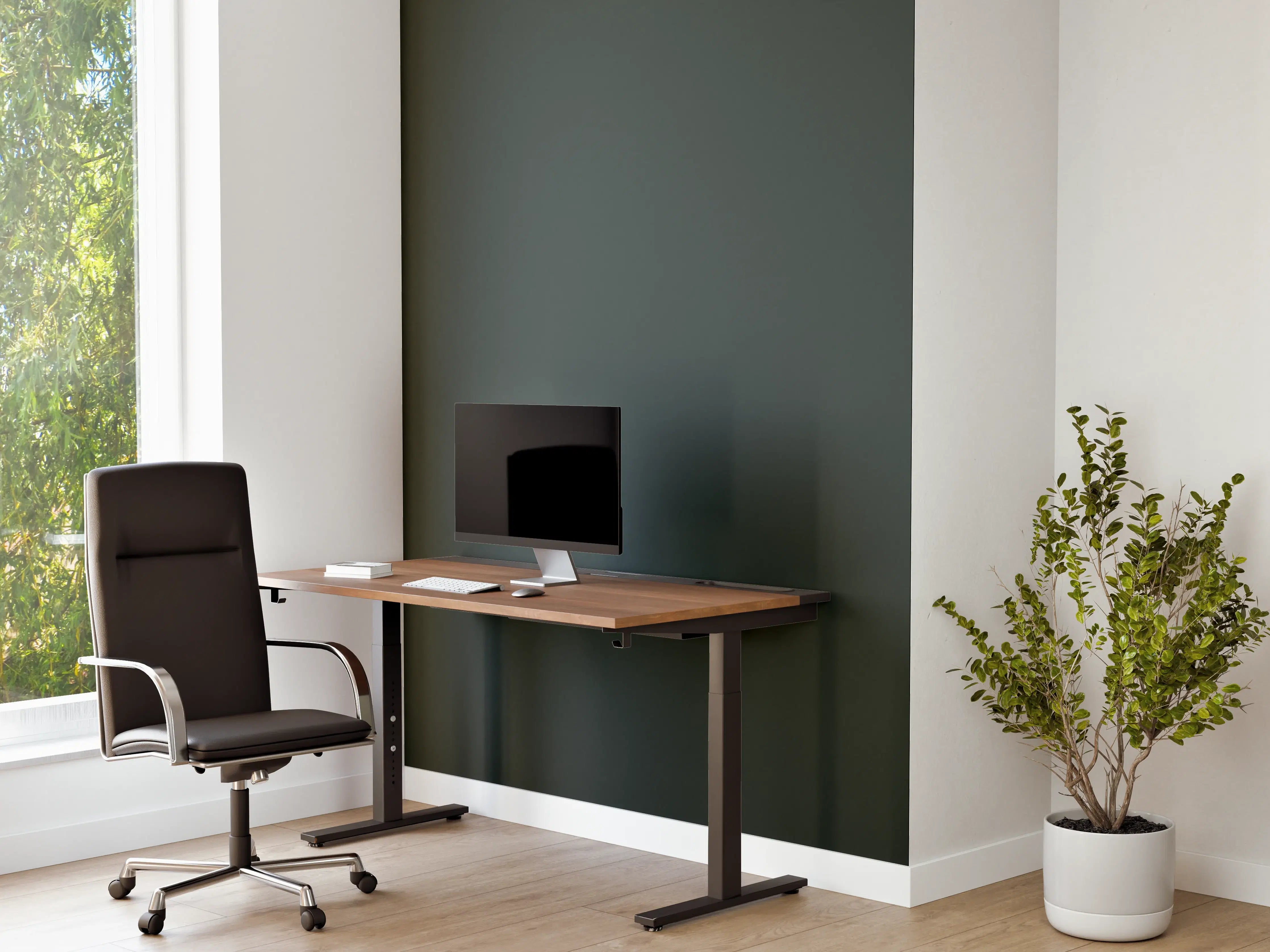 Büro Wandgestaltung - RAL 6012 (Schwarzgrün)