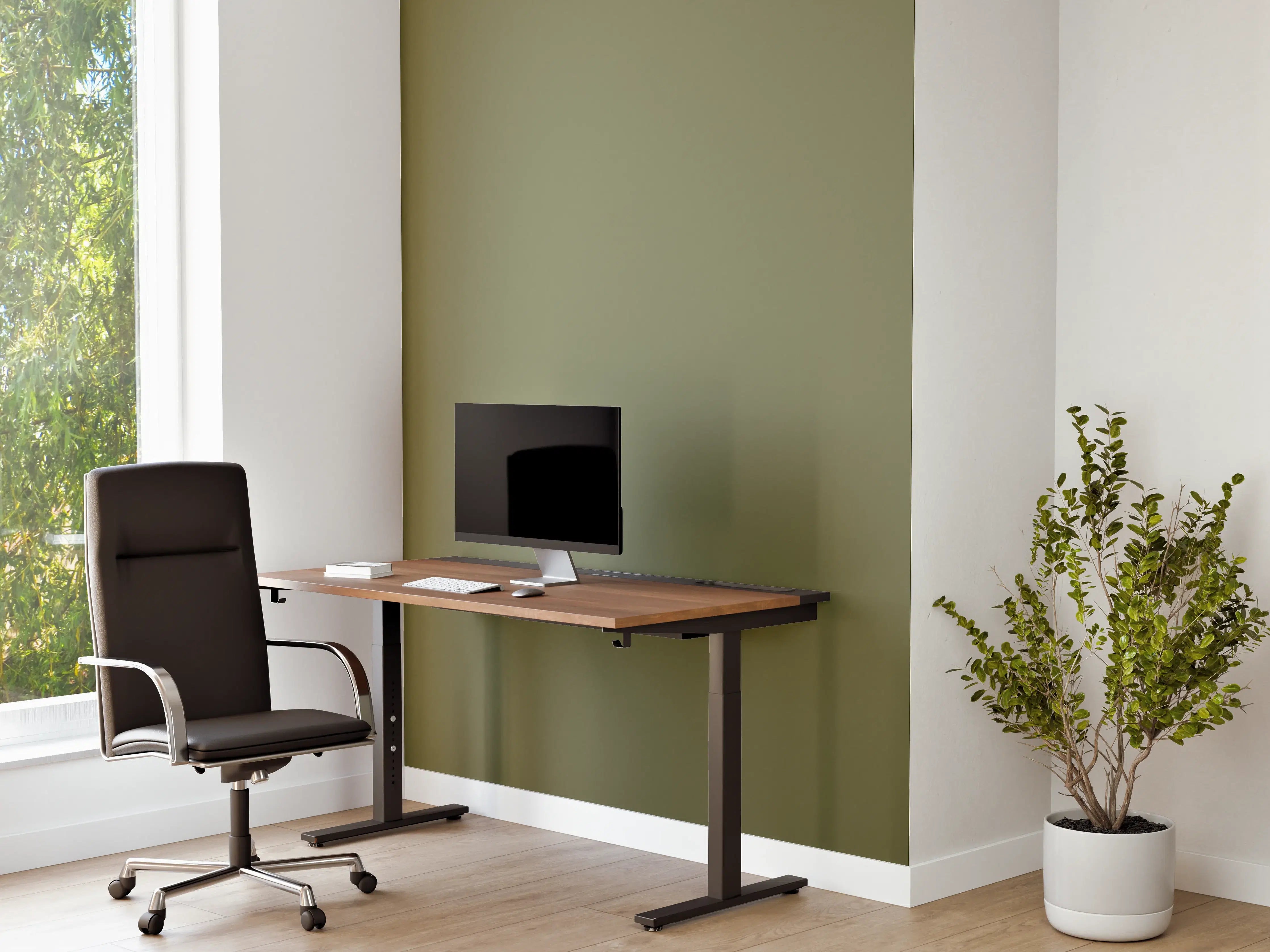 Büro Wandgestaltung - RAL 6013 (Schilfgrün)