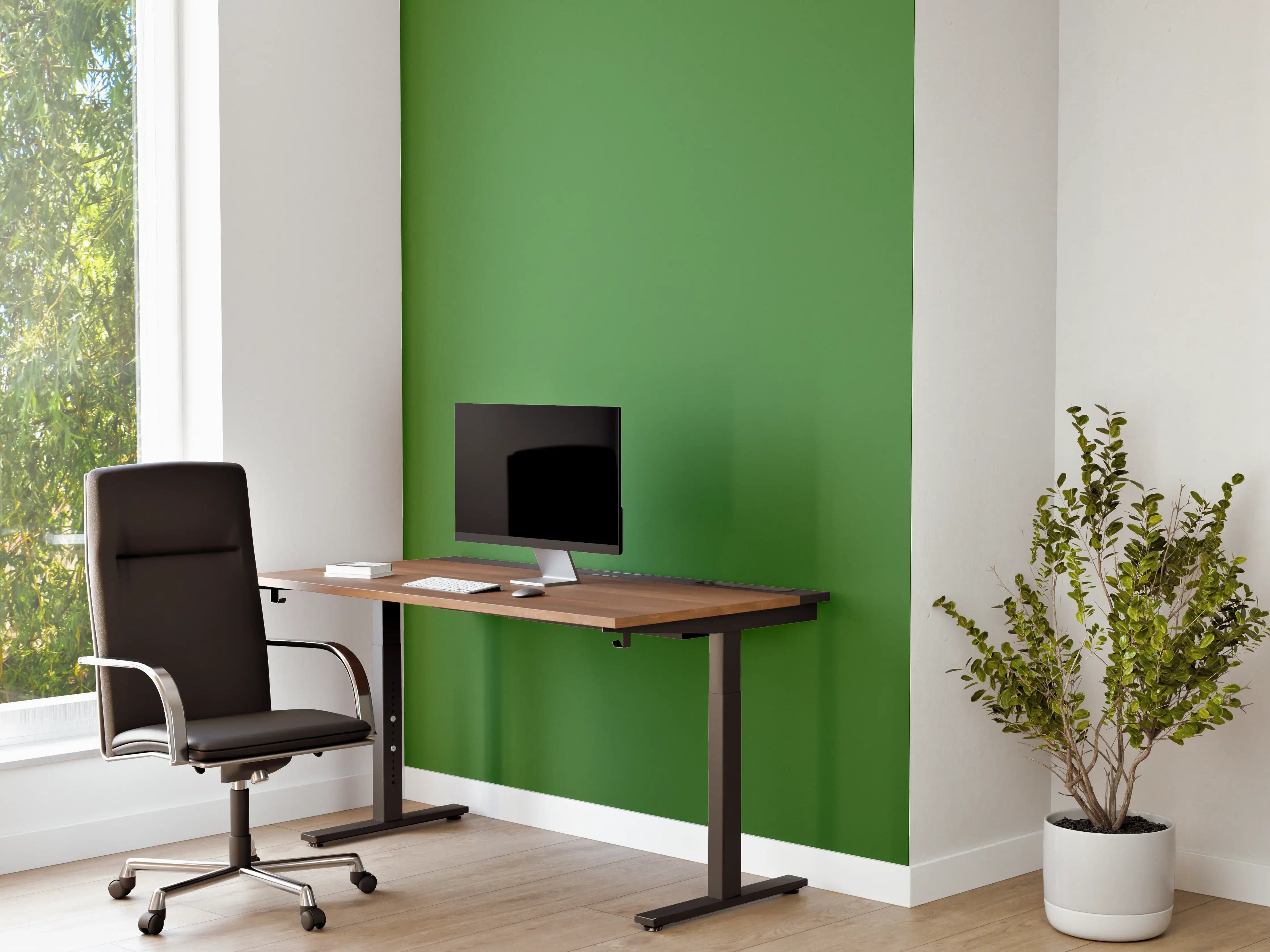 Büro Wandgestaltung - RAL 6017 (Maigrün)