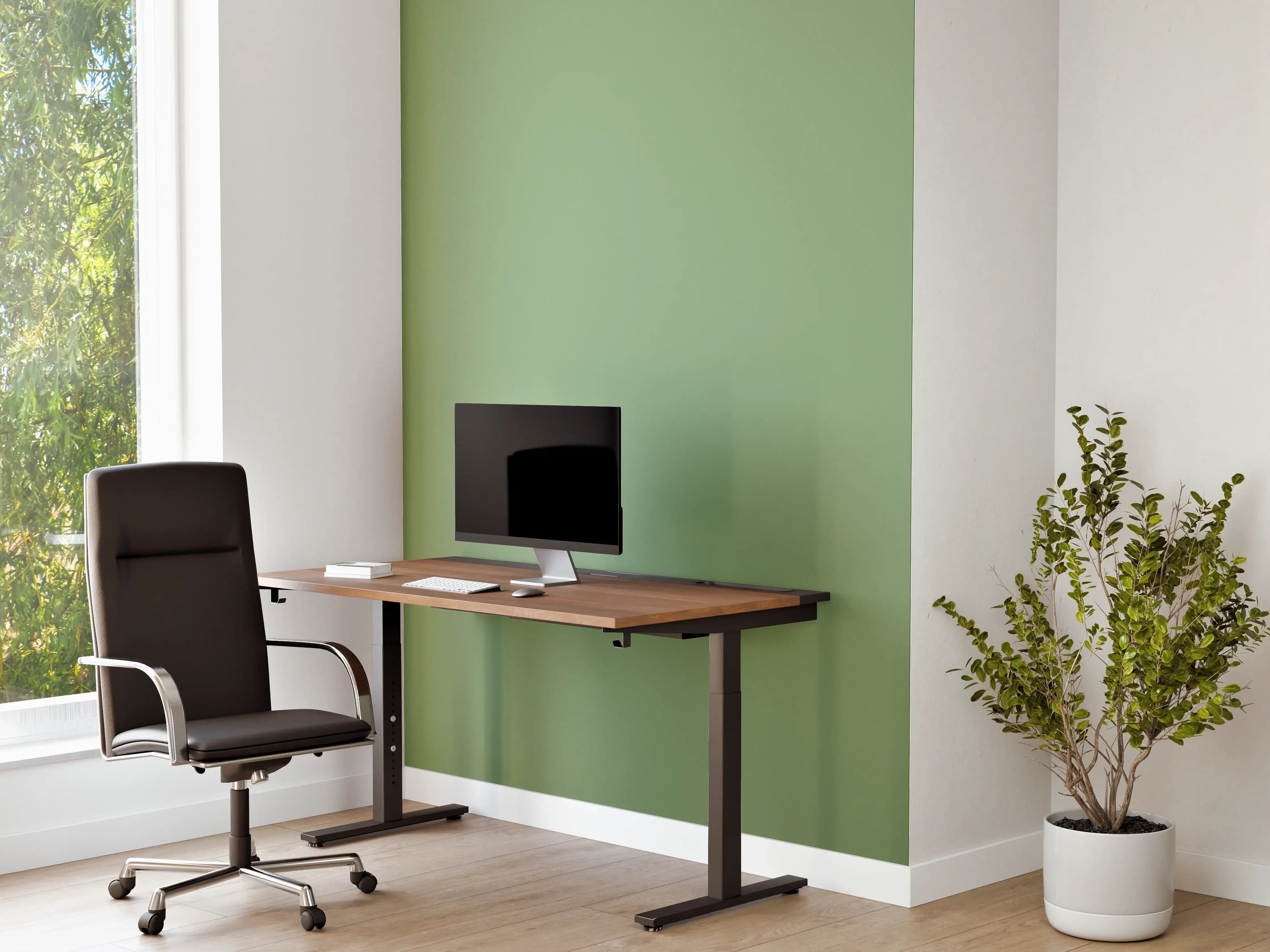 Büro Wandgestaltung - RAL 6021 (Blassgrün)