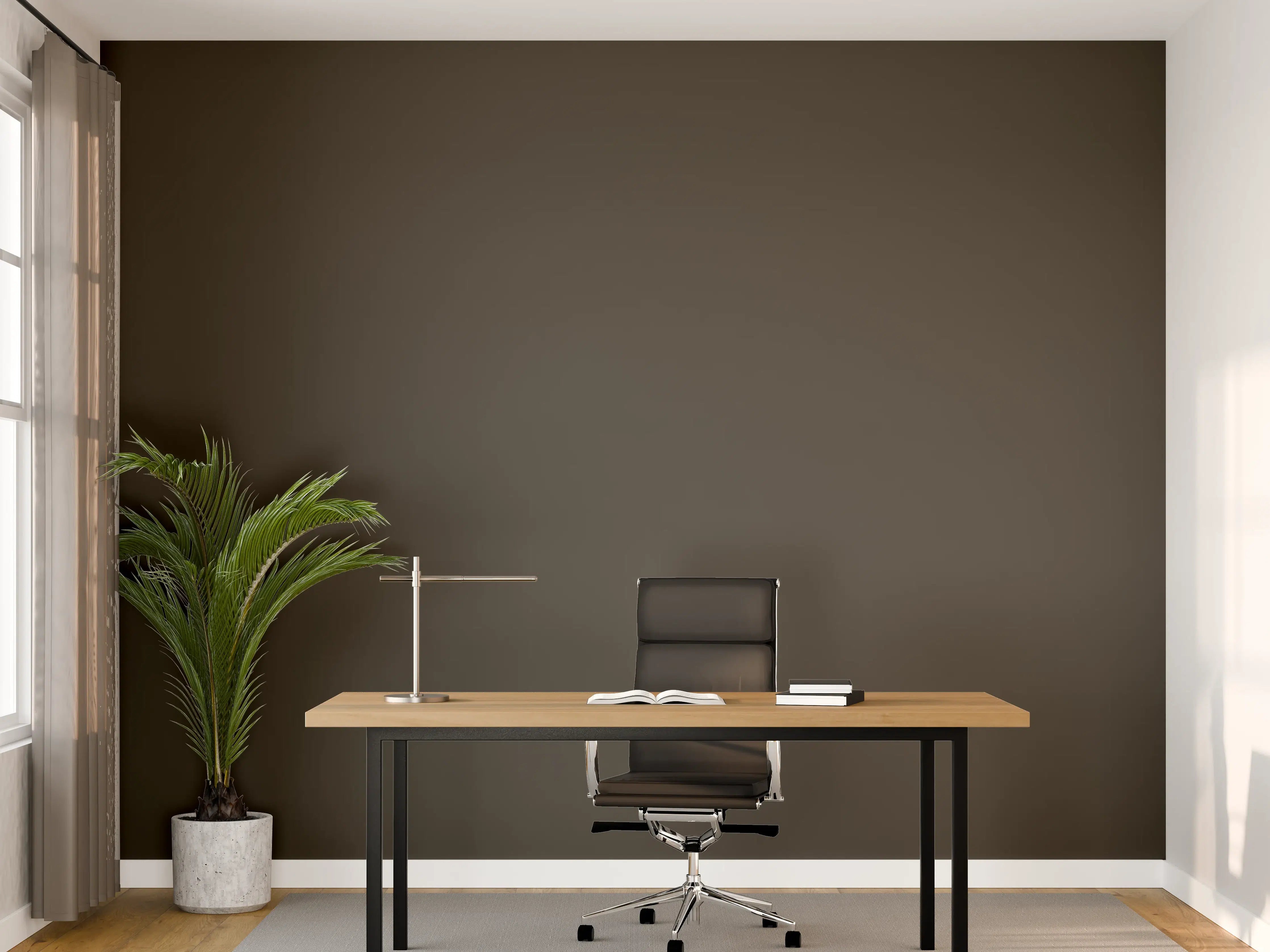 Büro Wandgestaltung - RAL 6022 (Braunoliv)