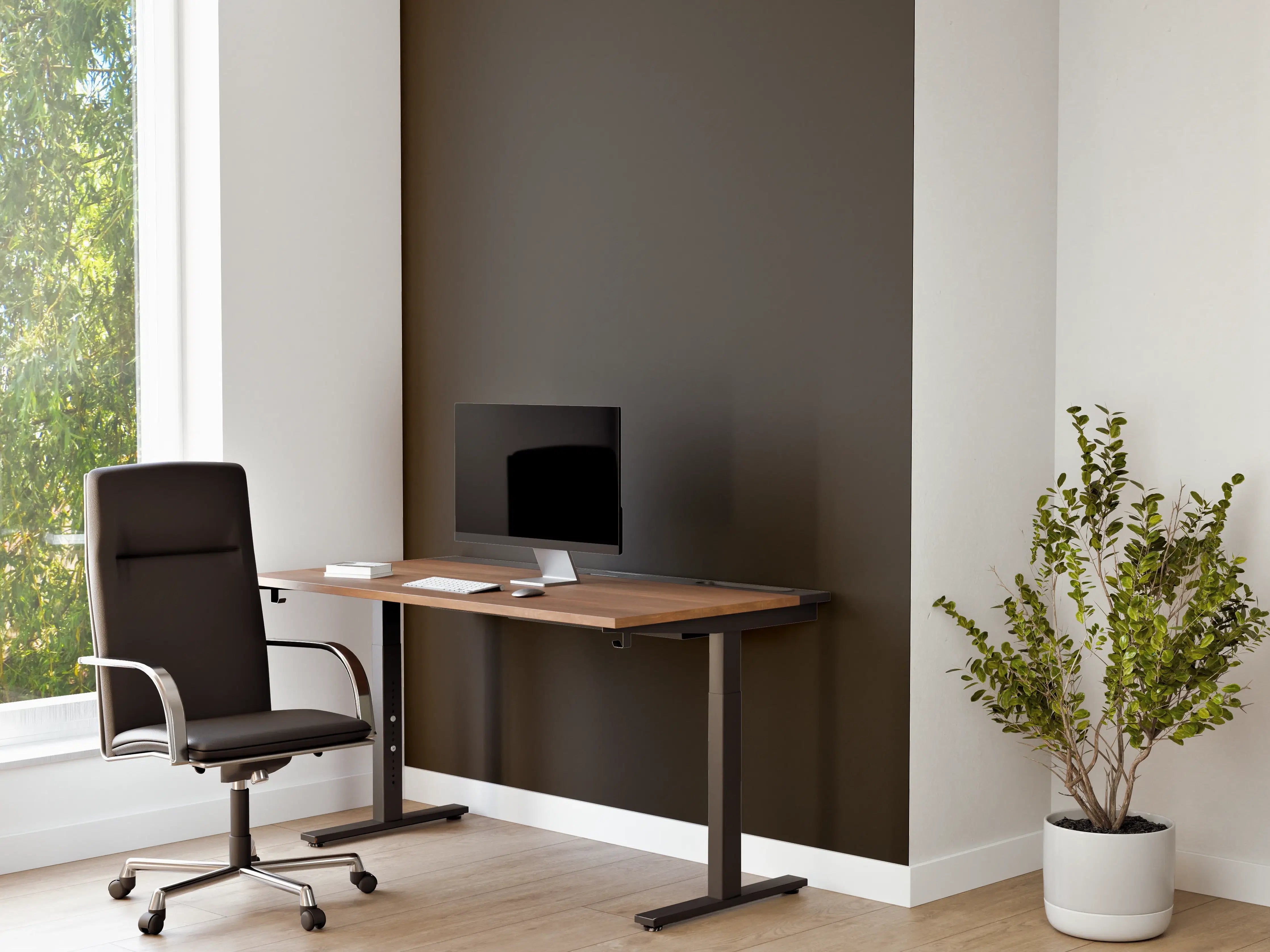 Büro Wandgestaltung - RAL 6022 (Braunoliv)