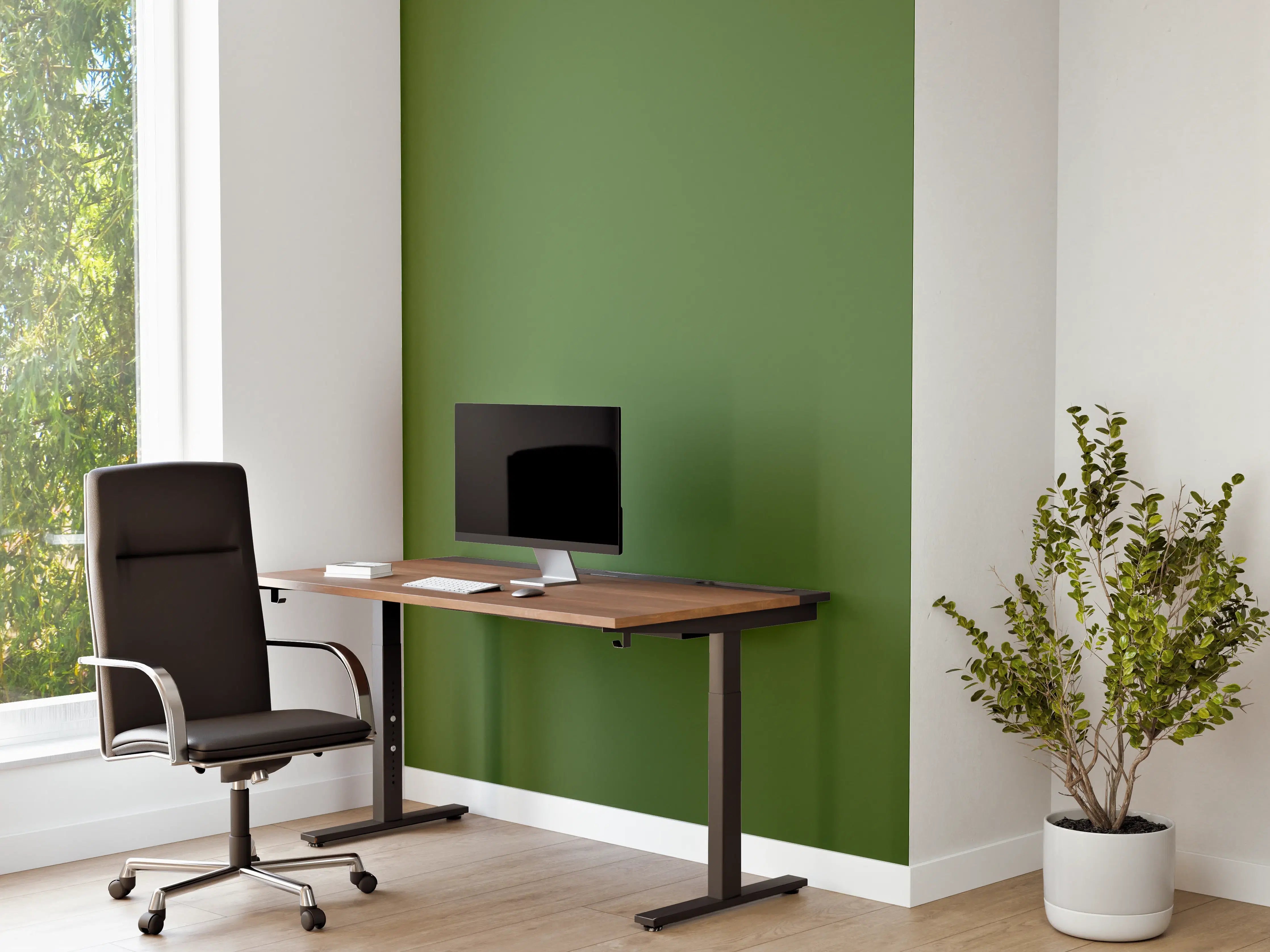 Büro Wandgestaltung - RAL 6025 (Farngrün)