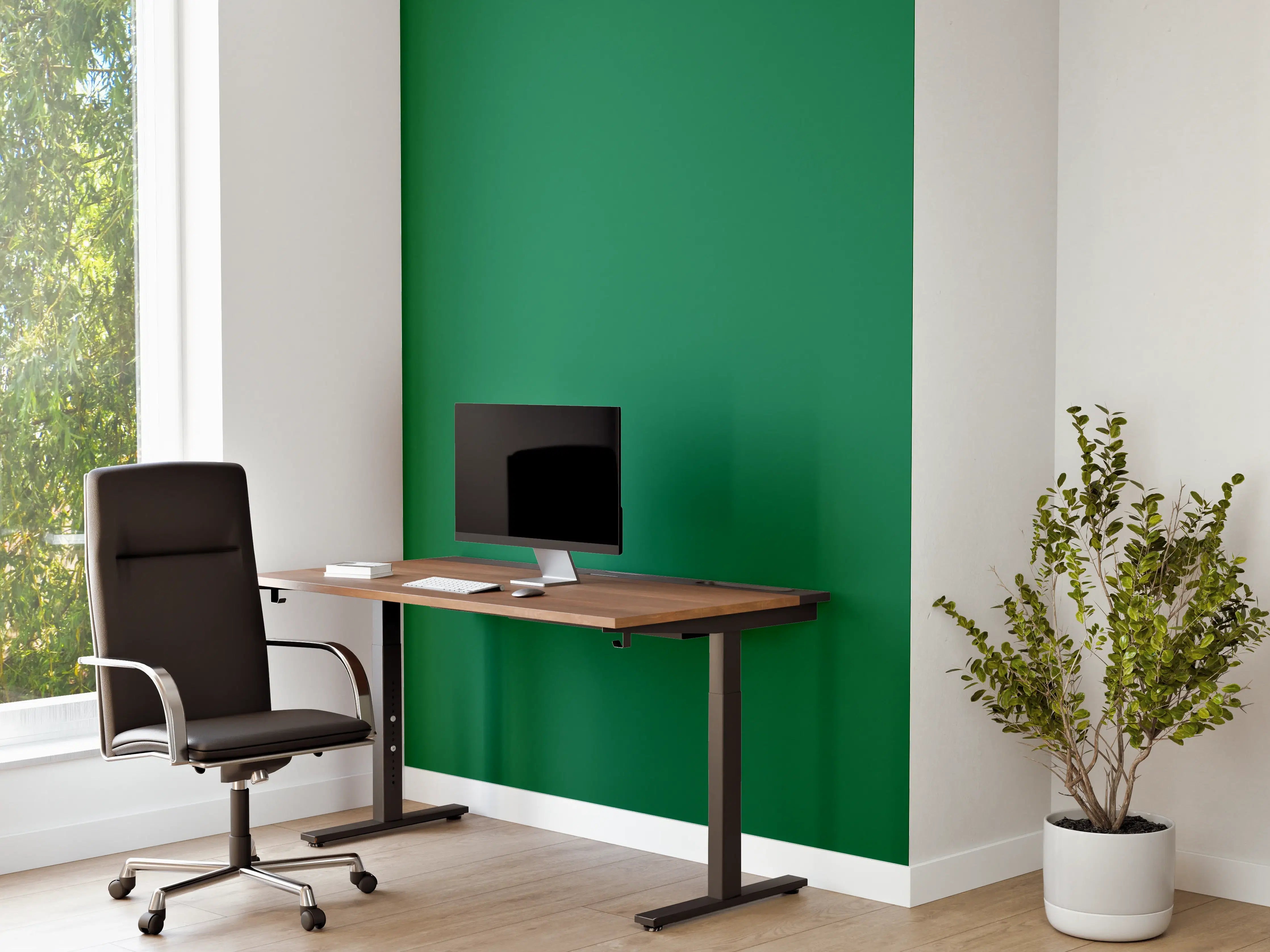 Büro Wandgestaltung - RAL 6029 (Mintgrün)
