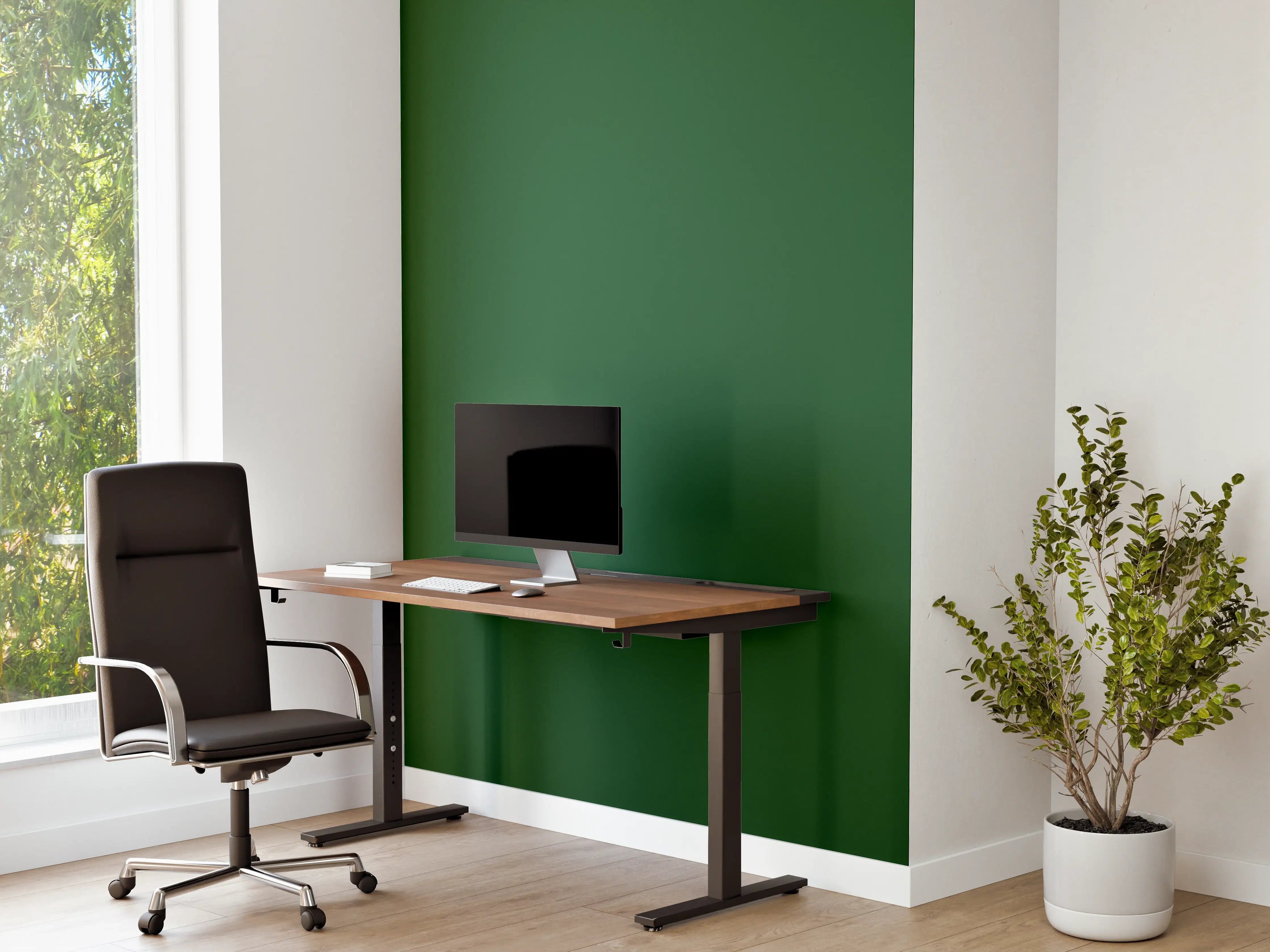Büro Wandgestaltung - RAL 6035 (Perlgrün)