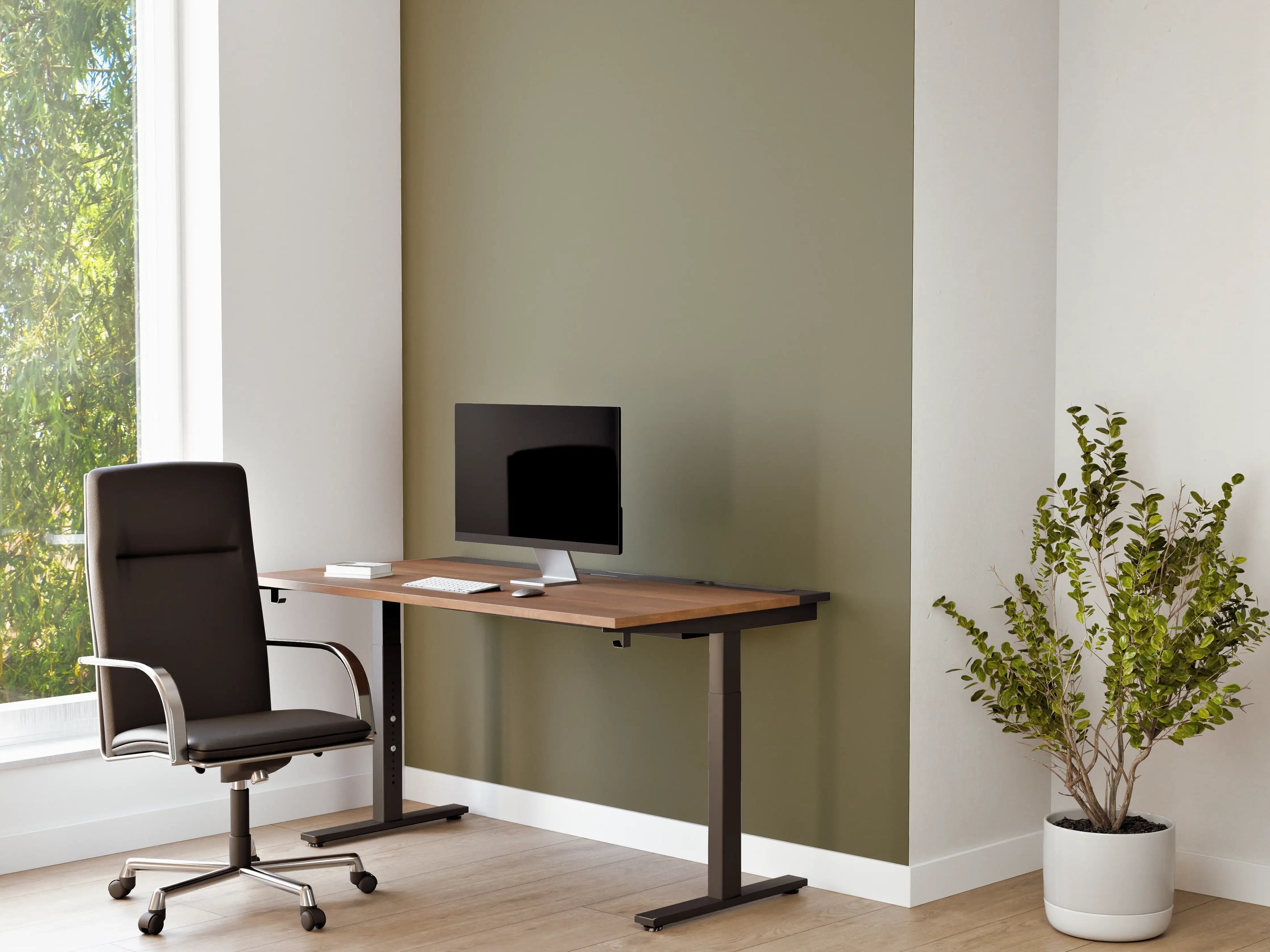 Büro Wandgestaltung - RAL 7002 (Olivgrau)