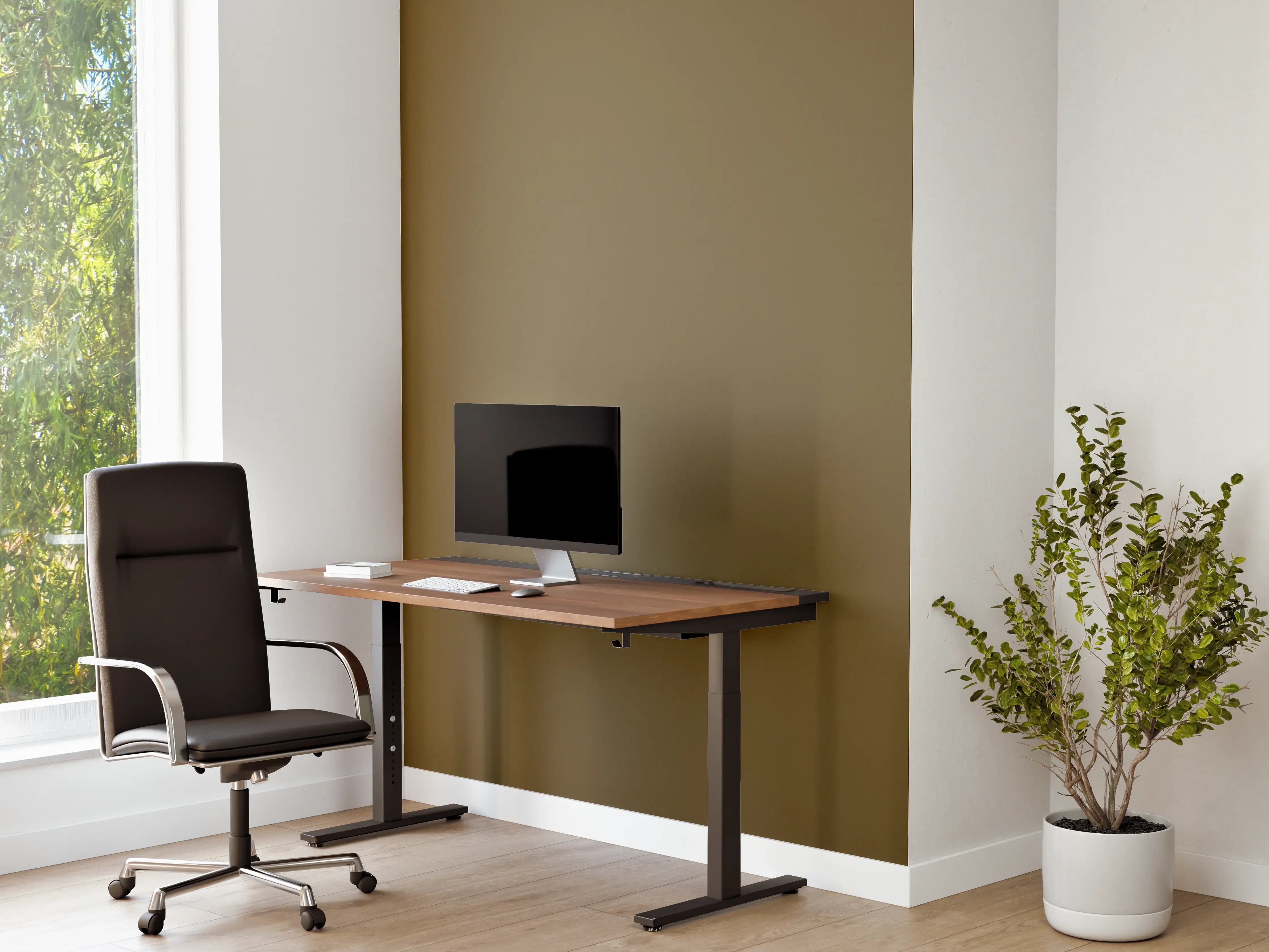 Büro Wandgestaltung - RAL 7008 (Khaki grau)