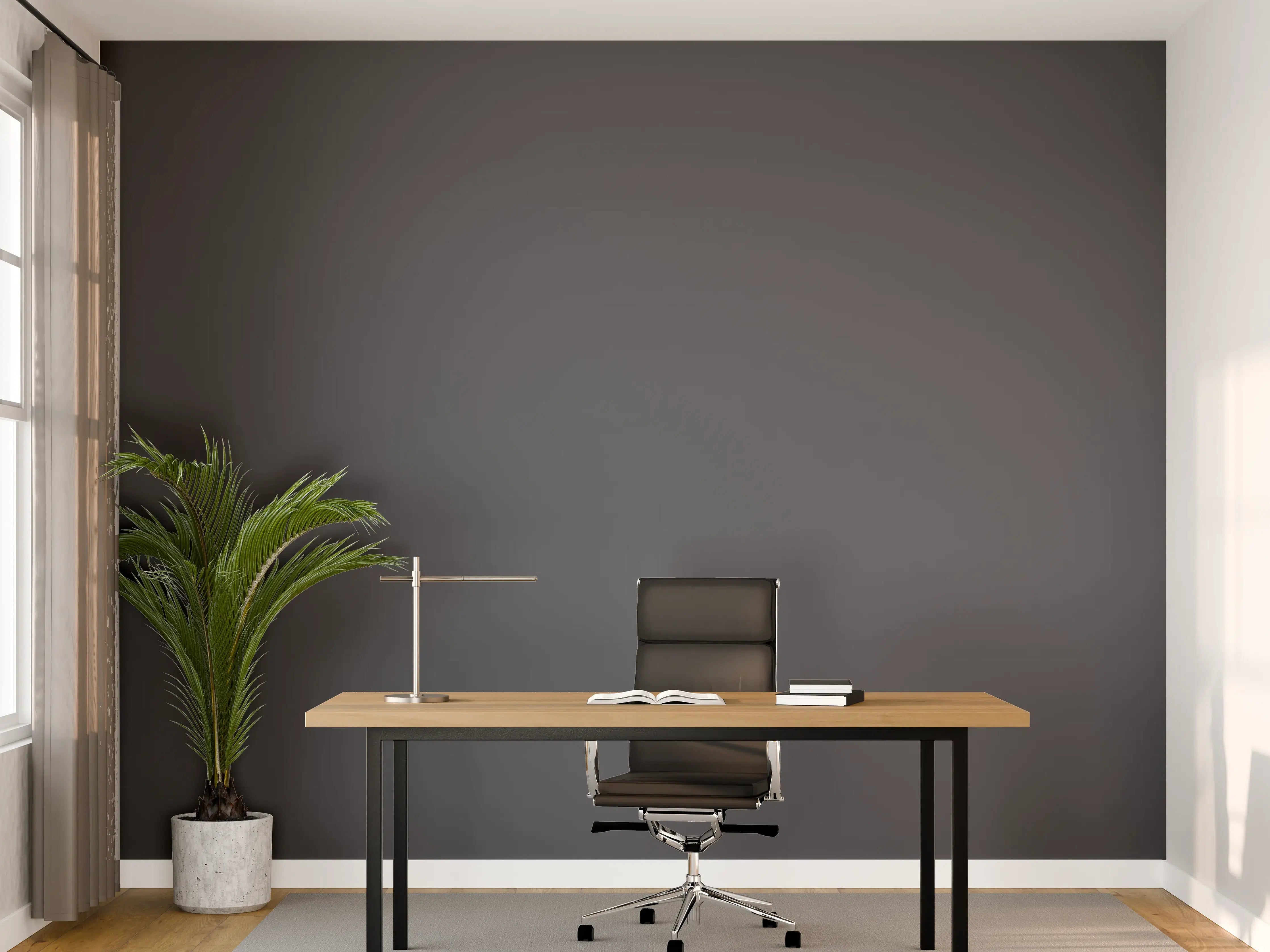 Büro Wandgestaltung - RAL 7024 (Graphitgrau)