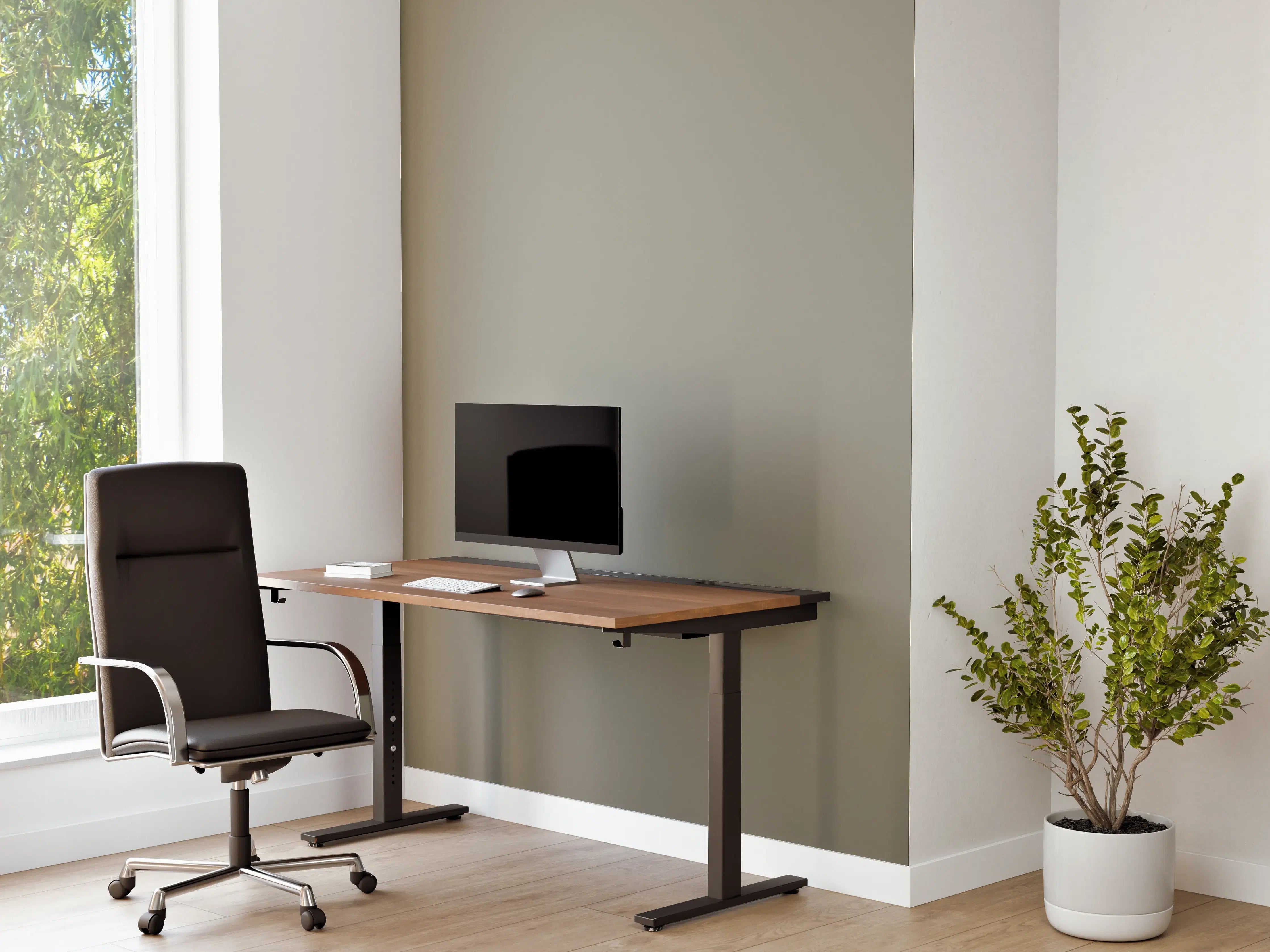 Büro Wandgestaltung - RAL 7030 (Steingrau)