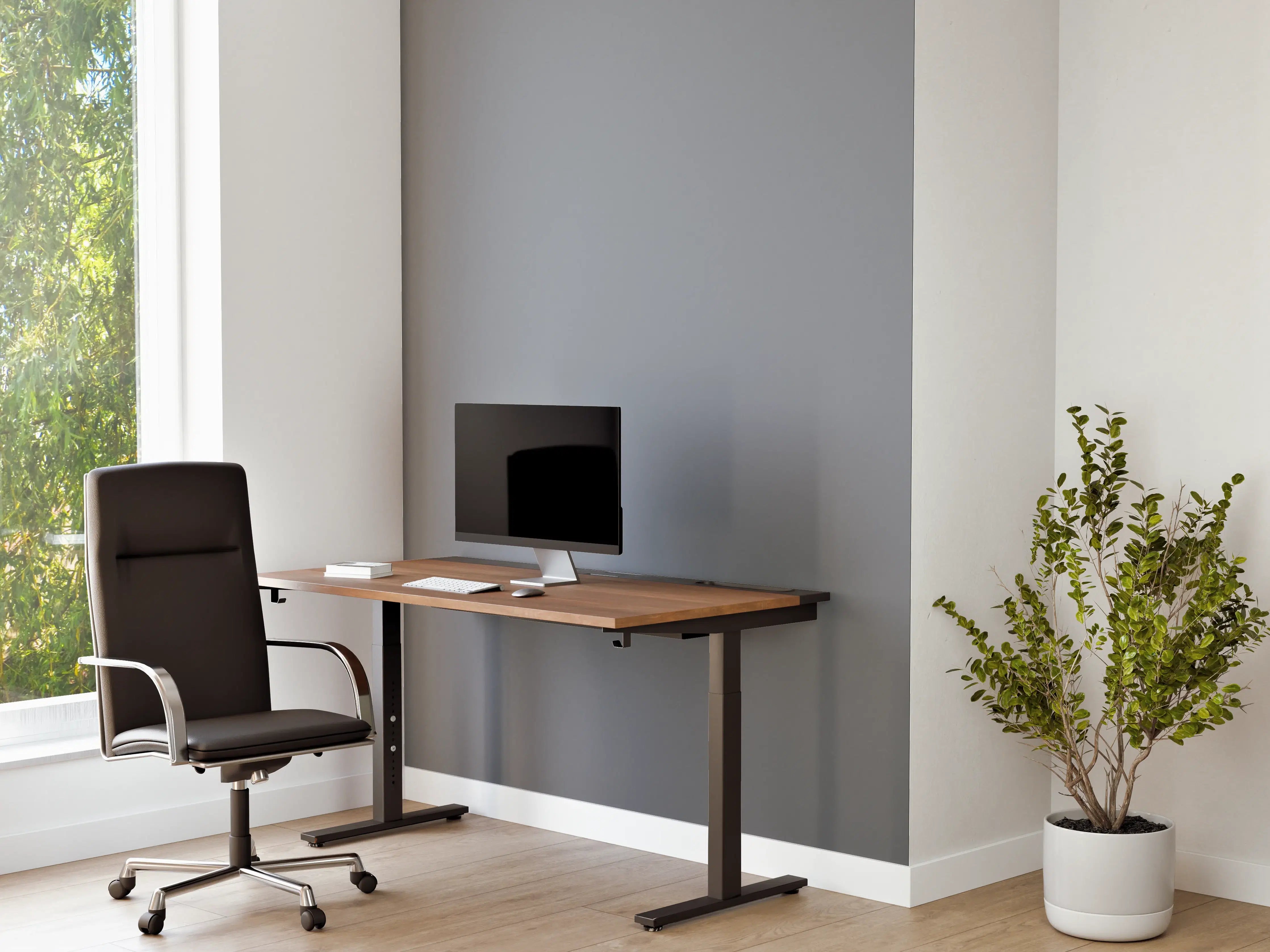Büro Wandgestaltung - RAL 7046 (Telegrau 2)