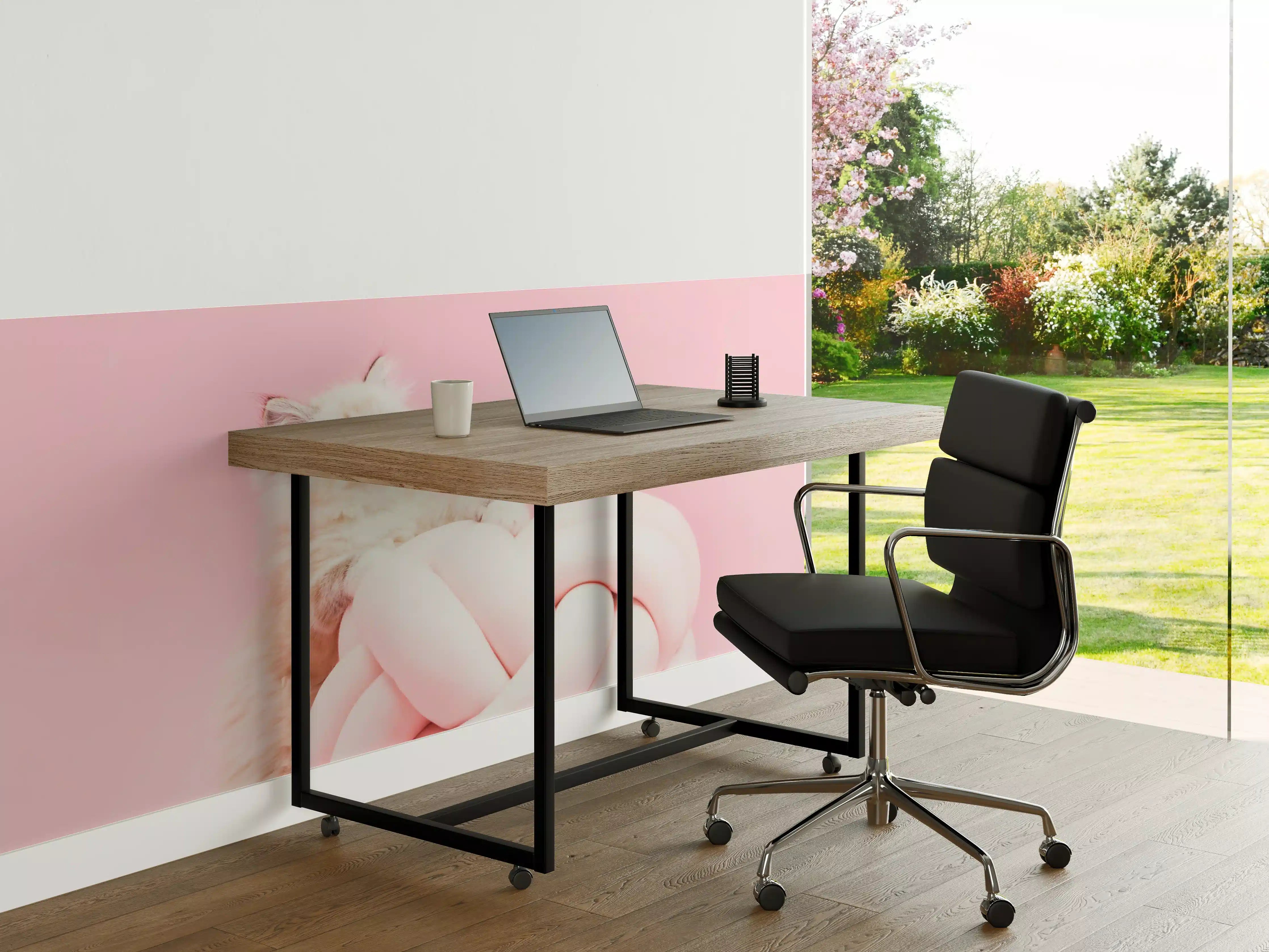 Büro Wandgestaltung - Ragdoll Katze auf Pinken Hintergrund