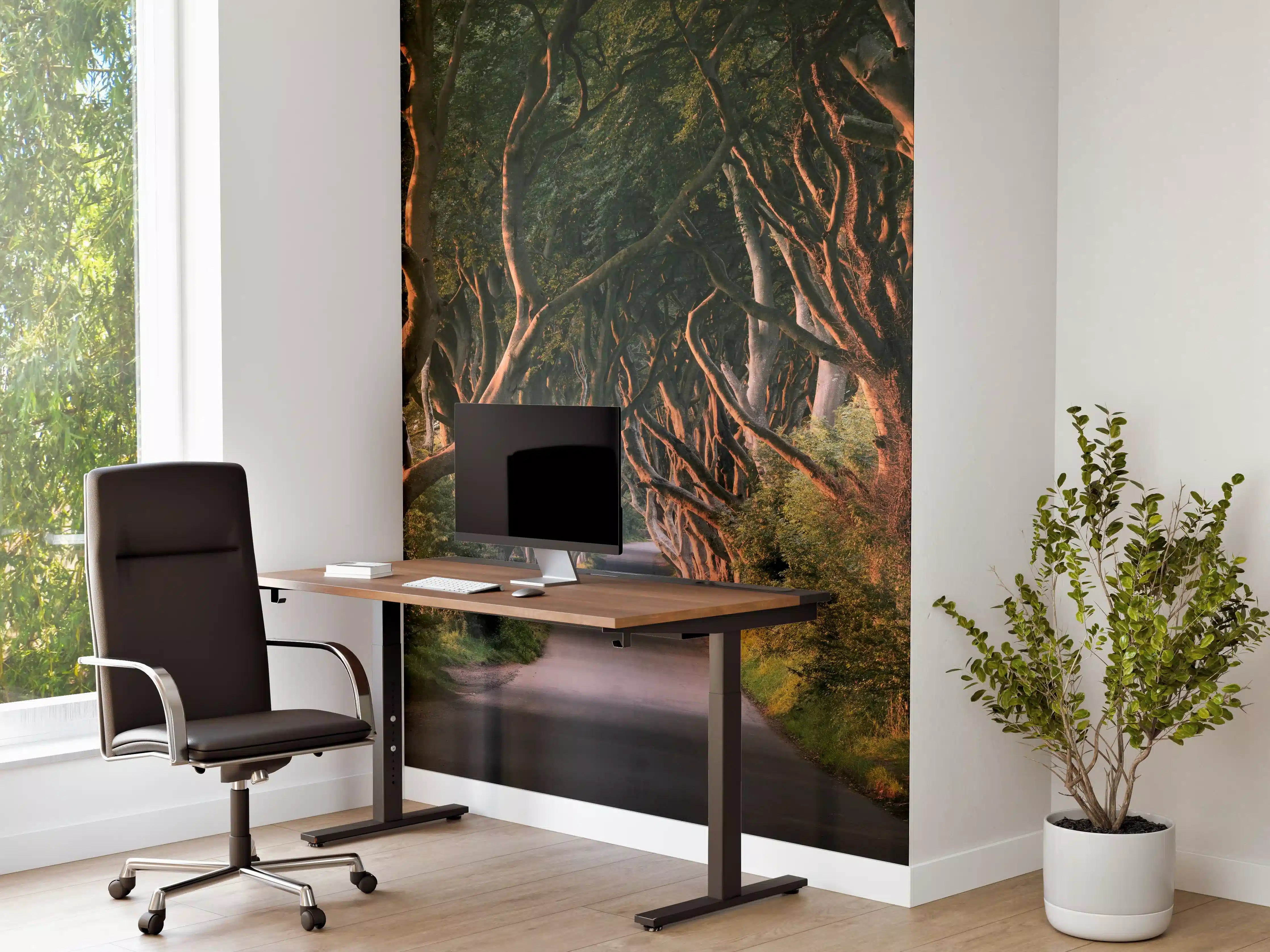 Büro Wandgestaltung - Red Avenue