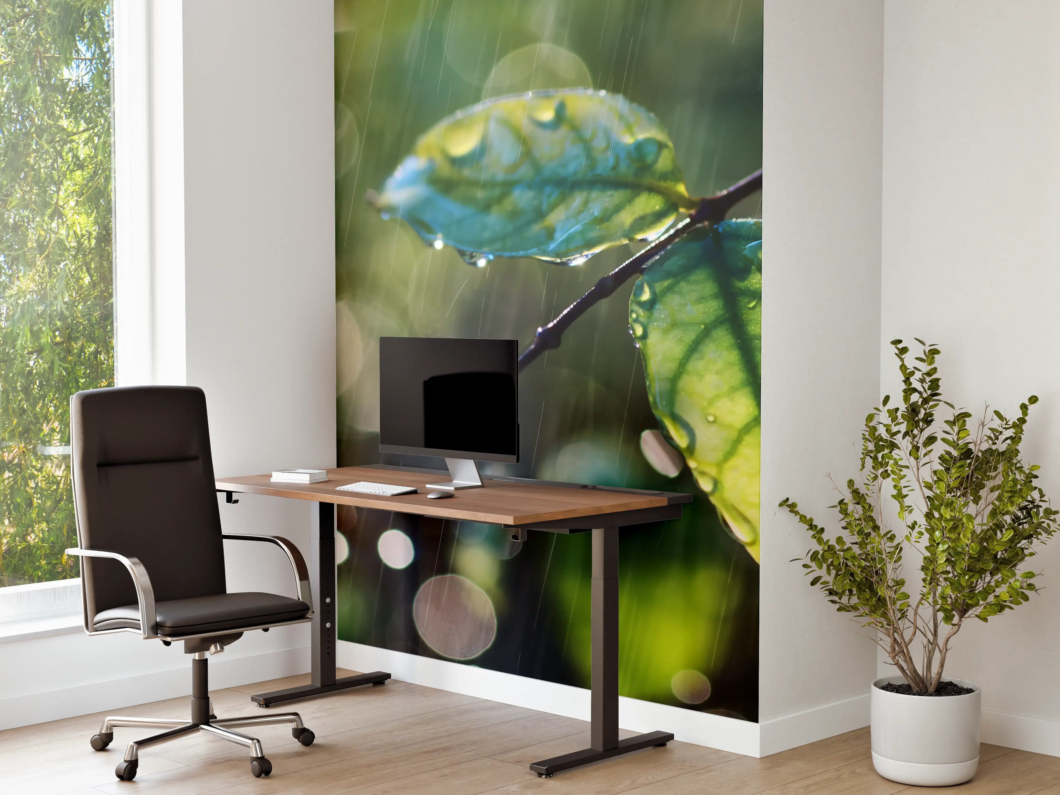 Büro Wandgestaltung - Regentropfen auf Blatt