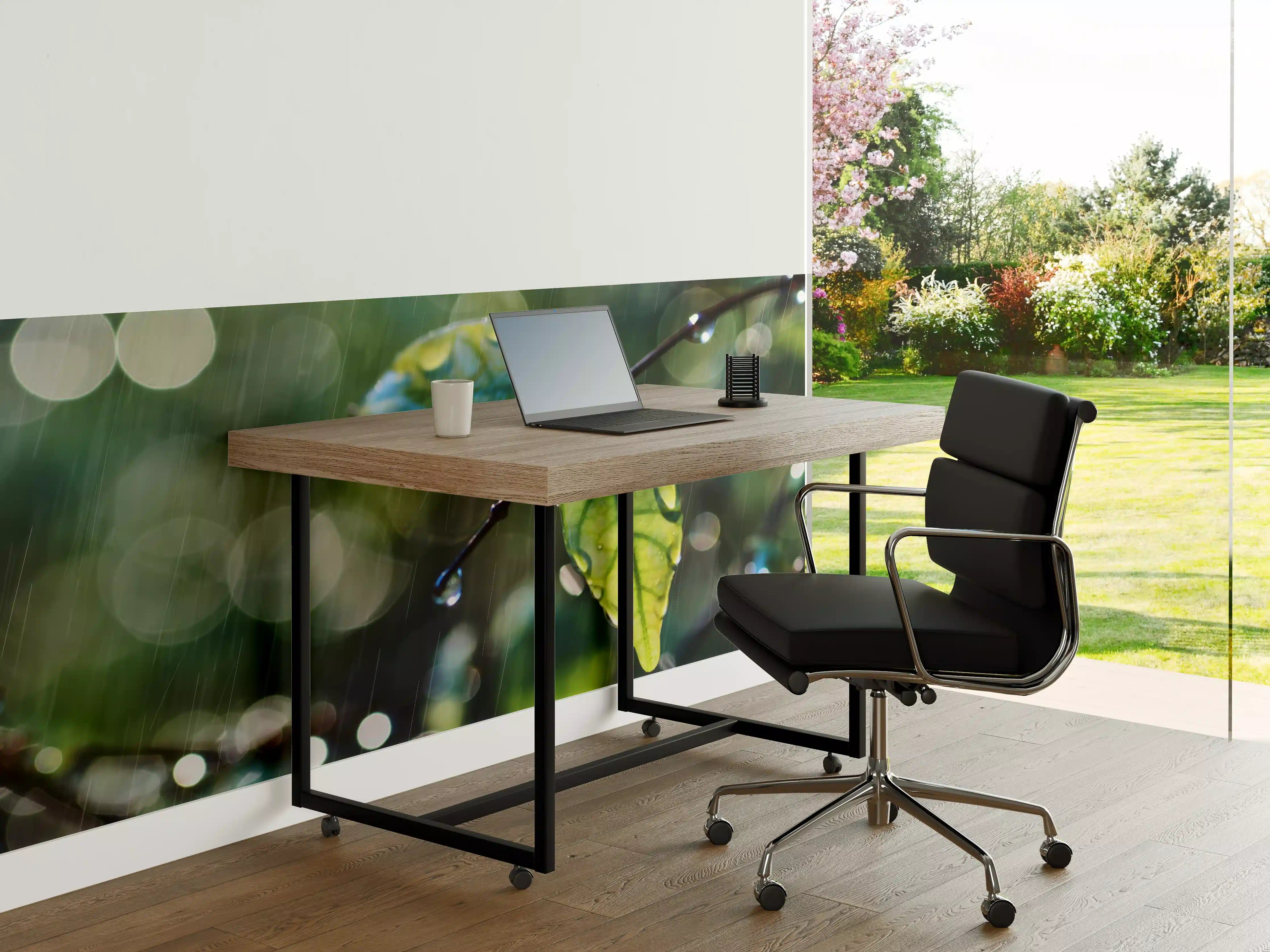 Büro Wandgestaltung - Regentropfen auf Blatt