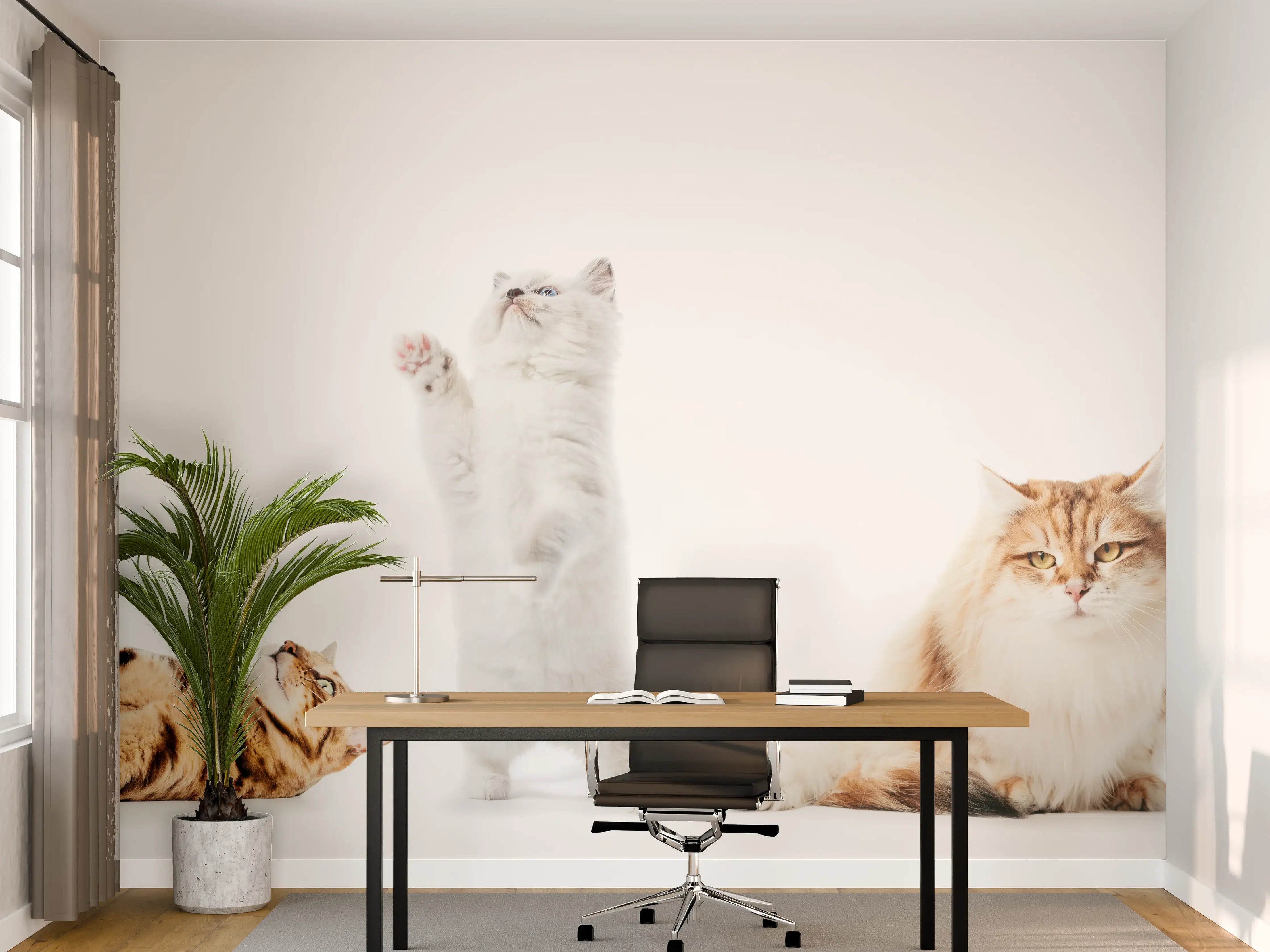 Büro Wandgestaltung - Reinrassige Katzen Weiß-Sammlung