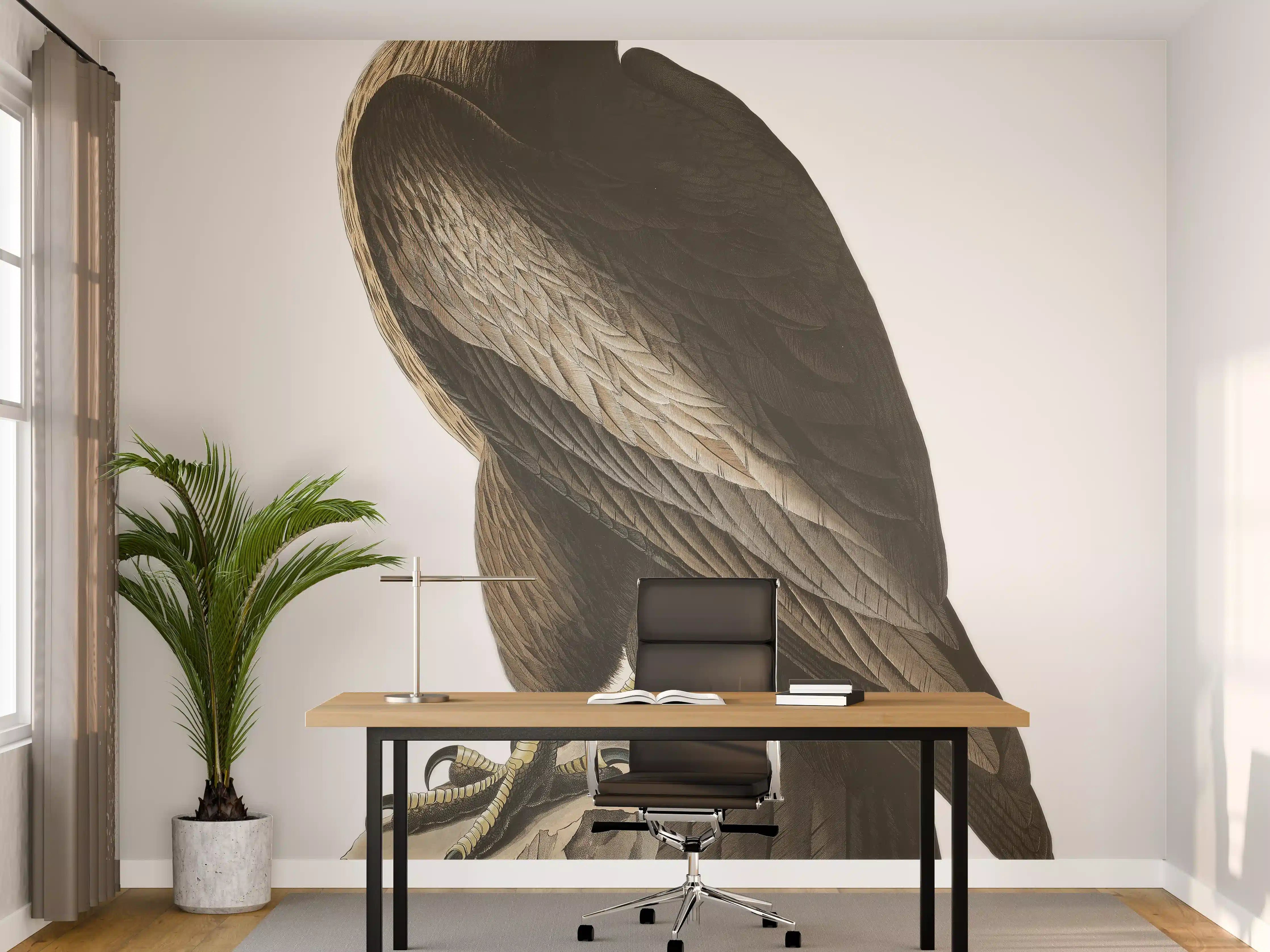 Büro Wandgestaltung - Riesenseeadler Portrait - John James Audubon