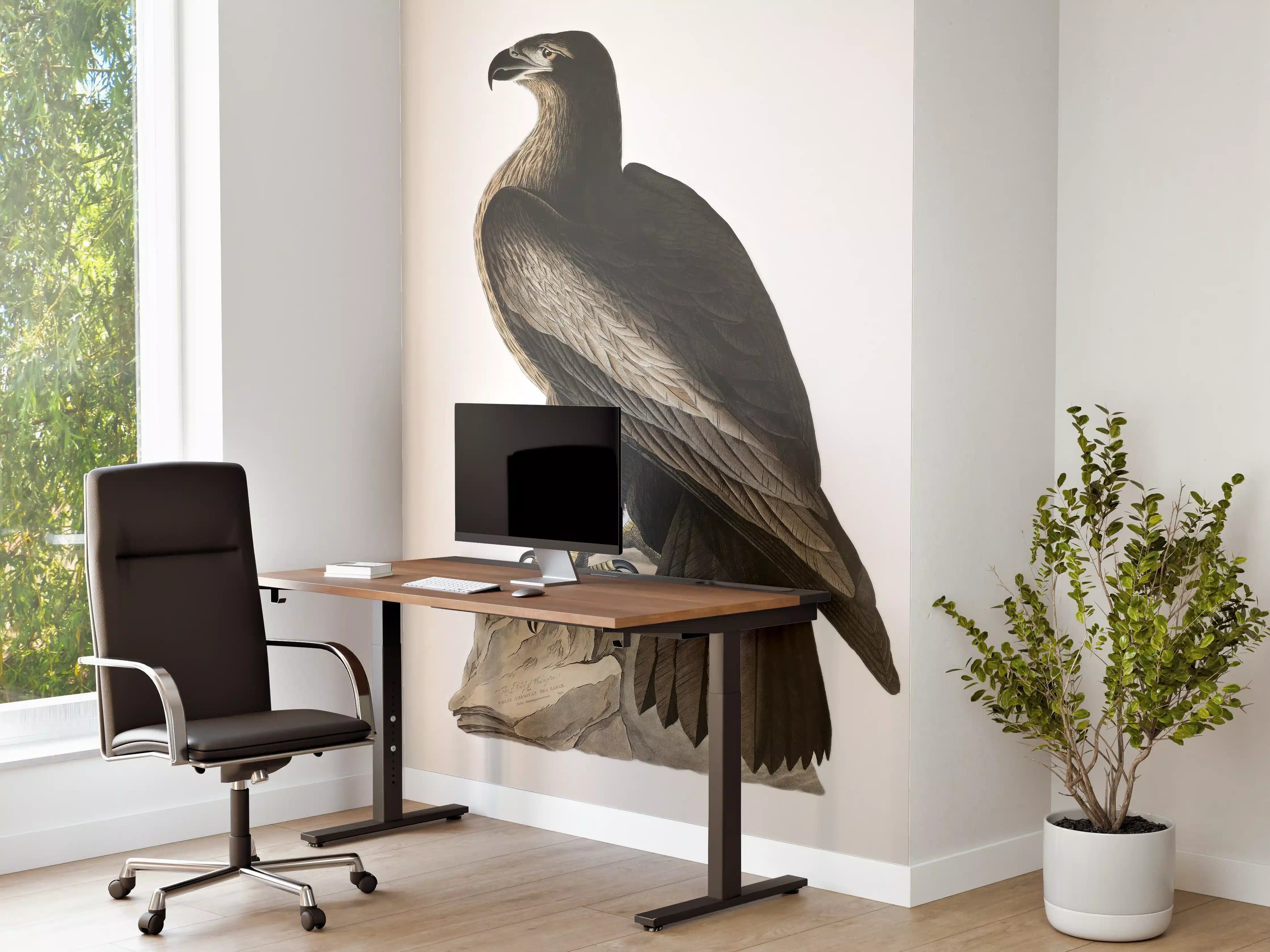 Büro Wandgestaltung - Riesenseeadler Portrait - John James Audubon