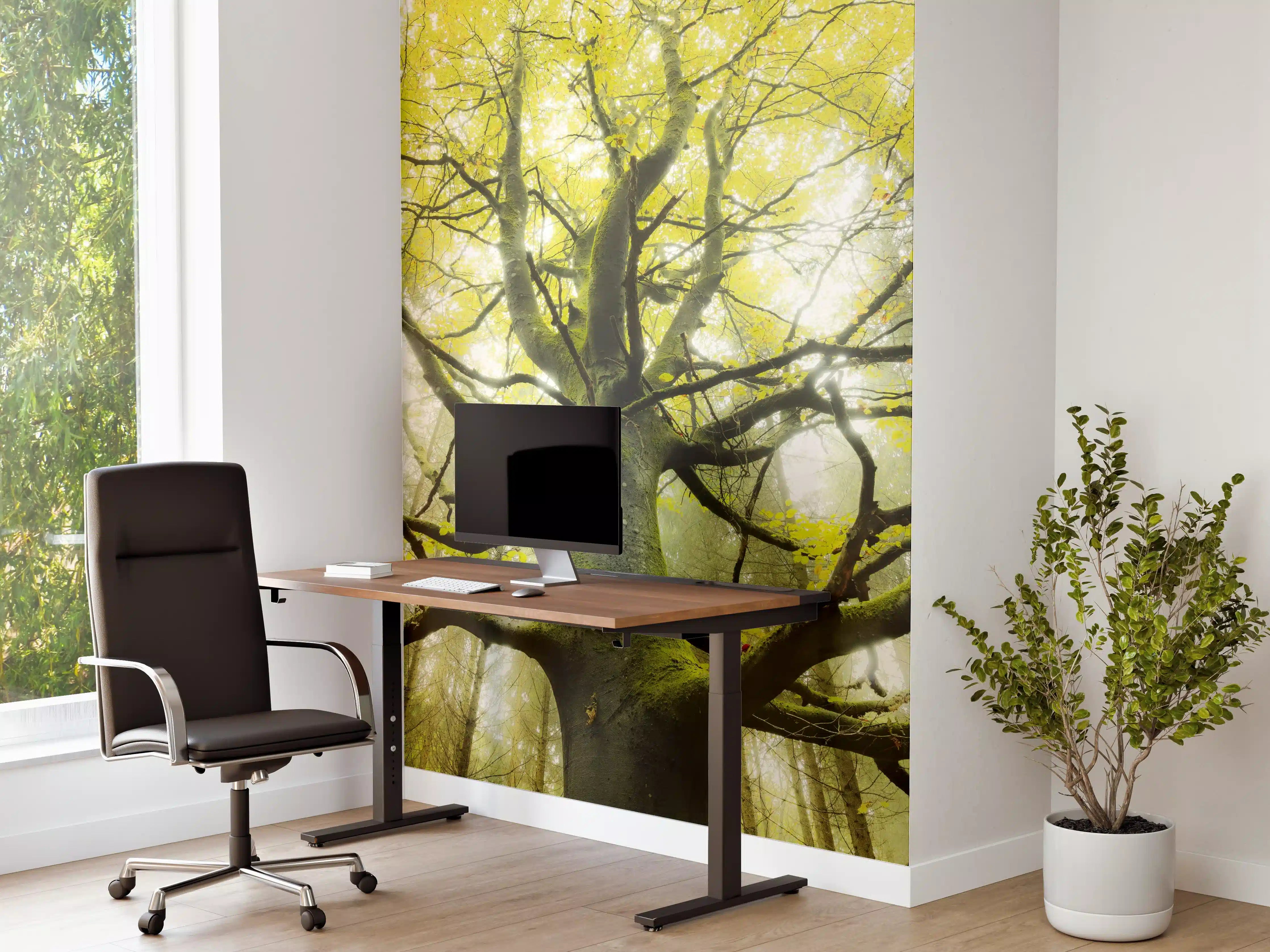 Büro Wandgestaltung - Riesiger Baum in Bayern