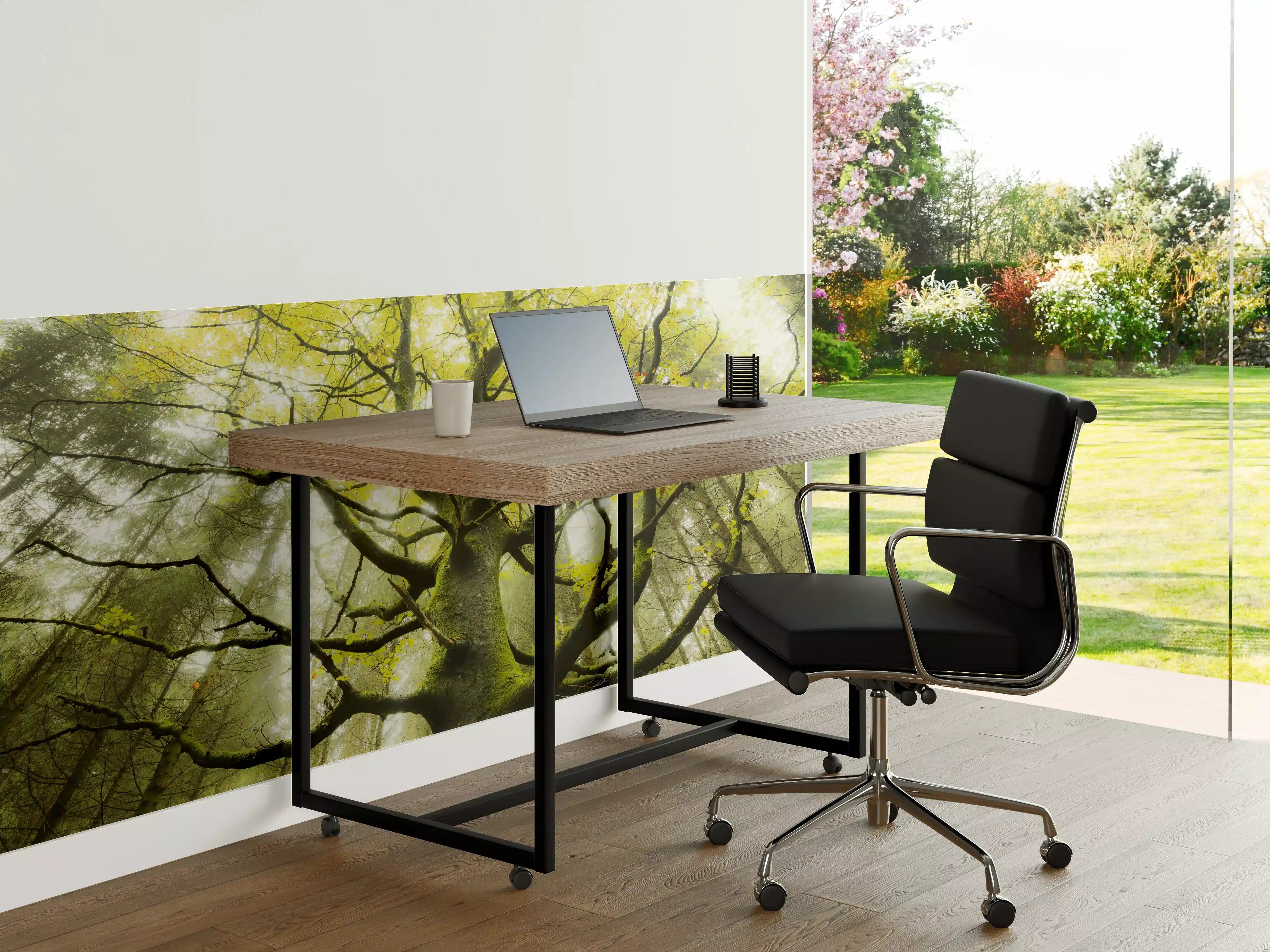 Büro Wandgestaltung - Riesiger Baum in Bayern