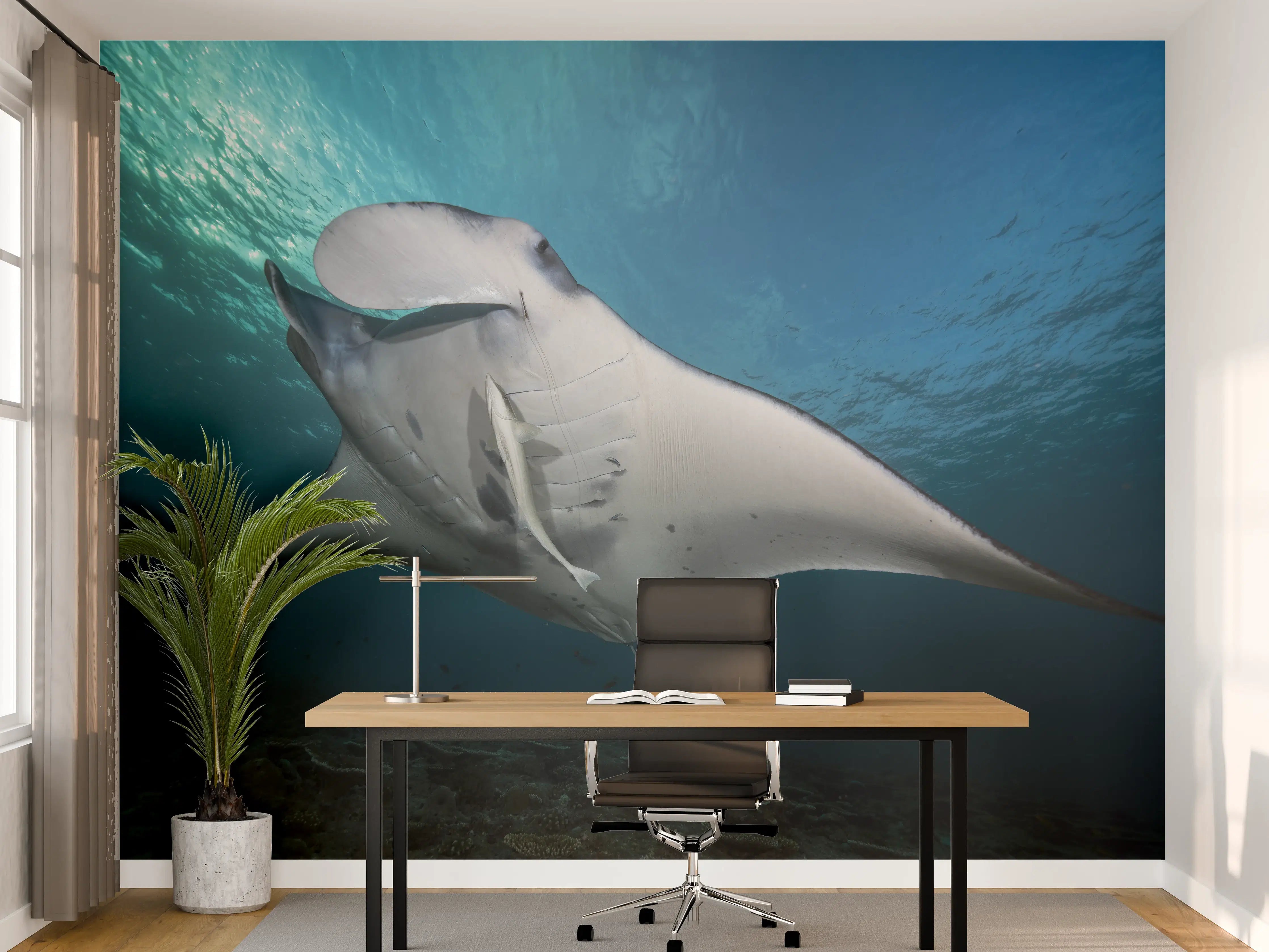 Büro Wandgestaltung - Riff-Manta Unterwasser