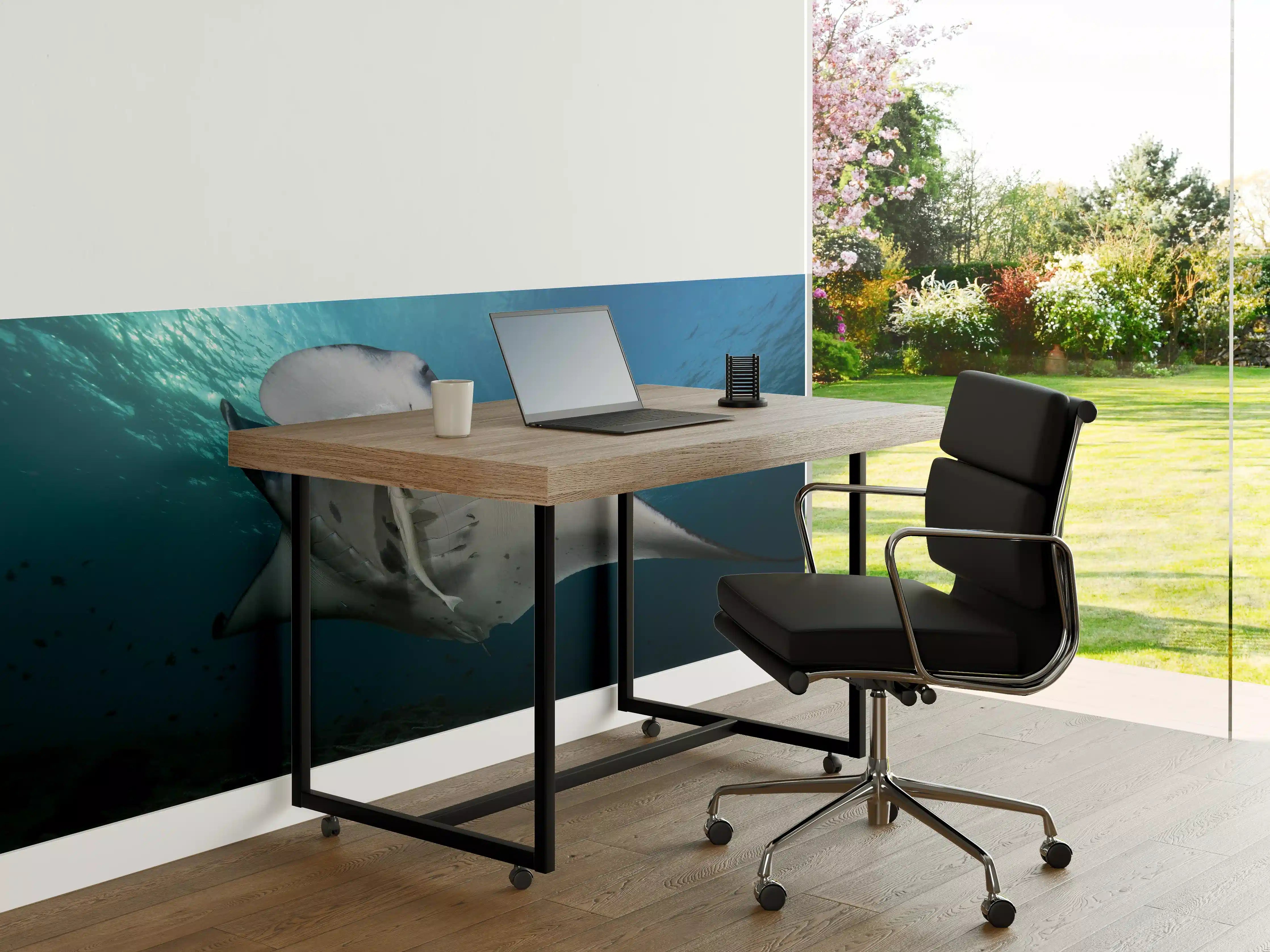 Büro Wandgestaltung - Riff-Manta Unterwasser