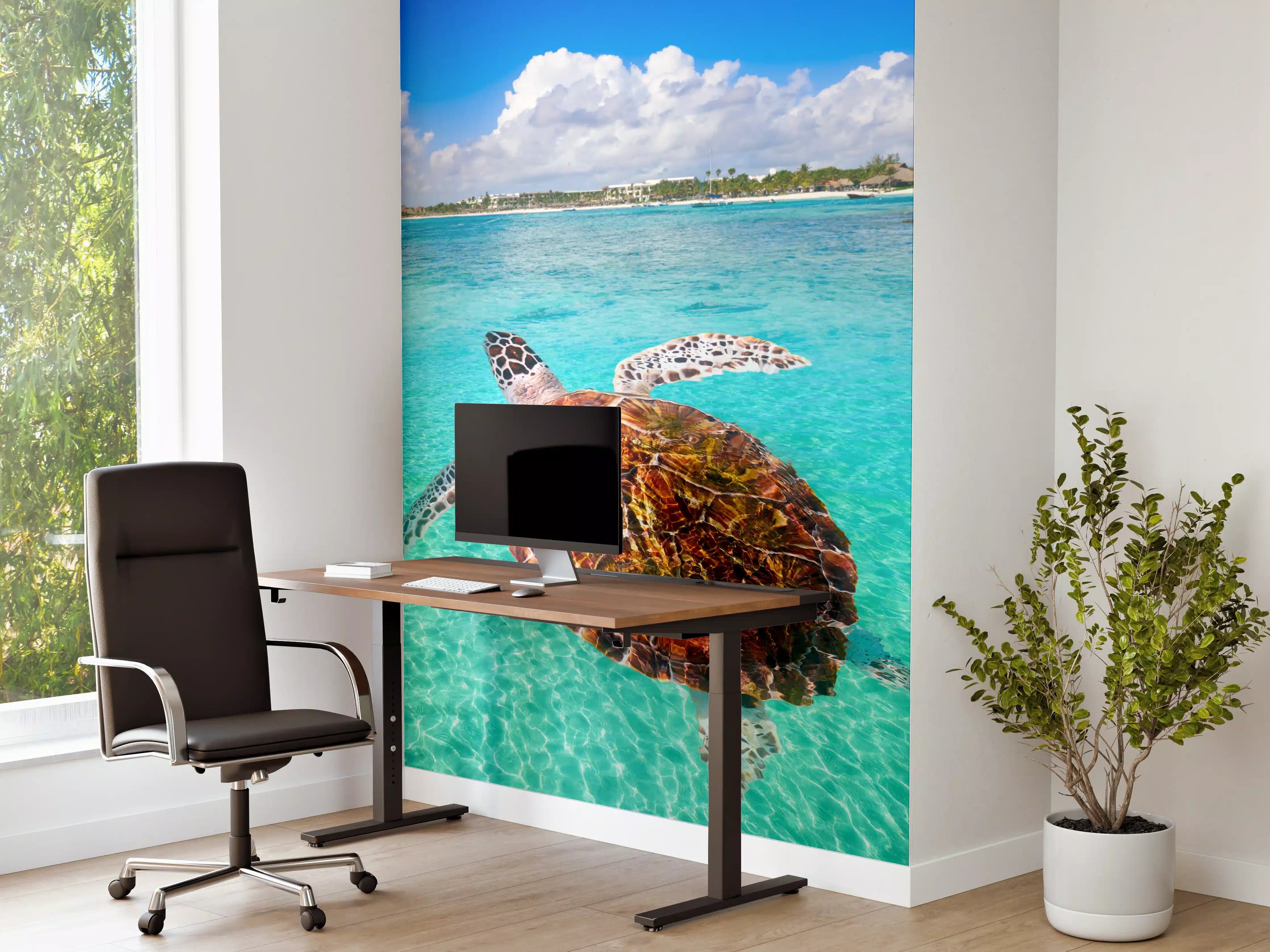 Büro Wandgestaltung - Riviera Maya - Mexico