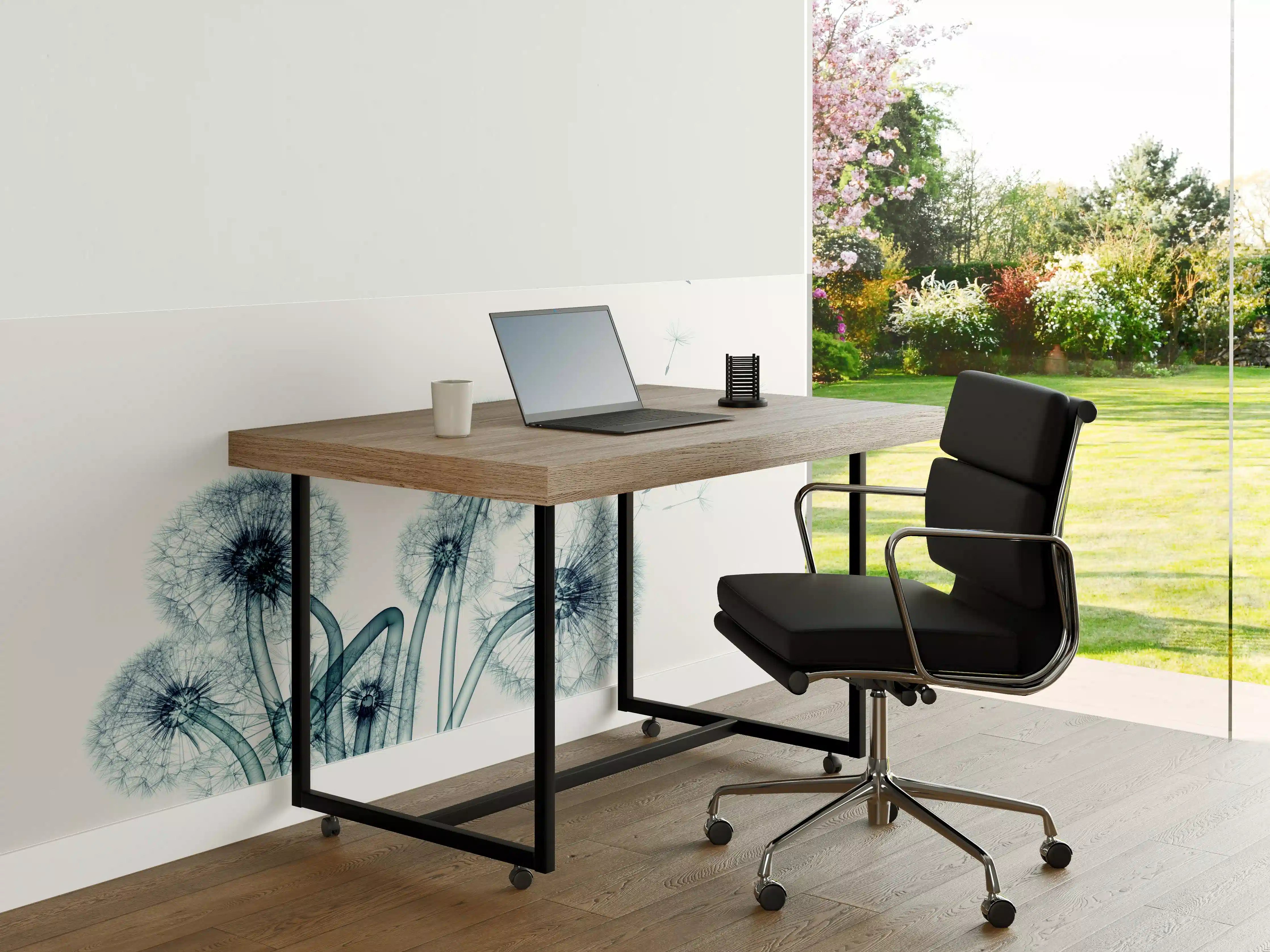 Büro Wandgestaltung - Röntgenbild eines Löwenzahns