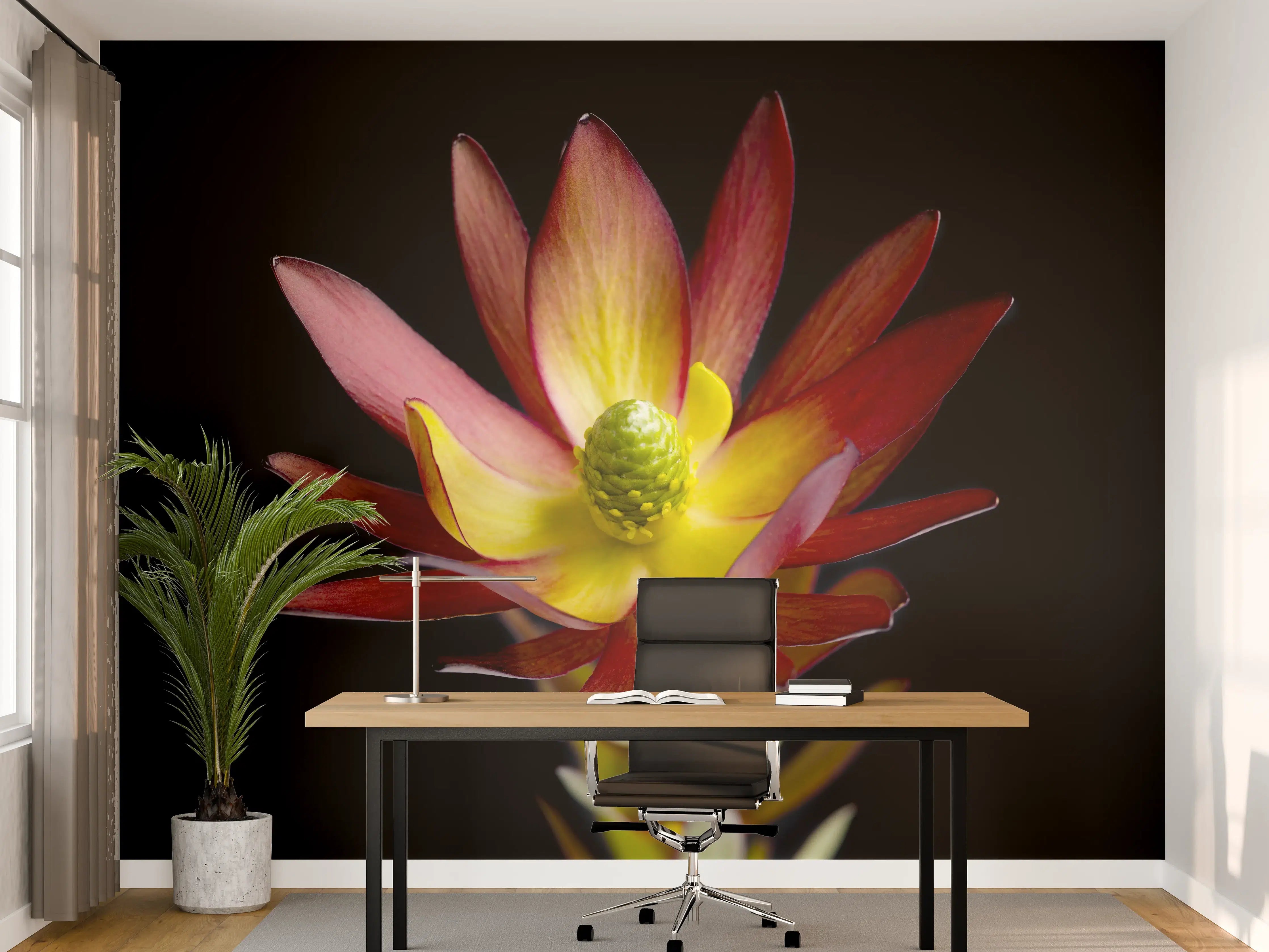 Büro Wandgestaltung - Rötliche aufblühende Lotosblume