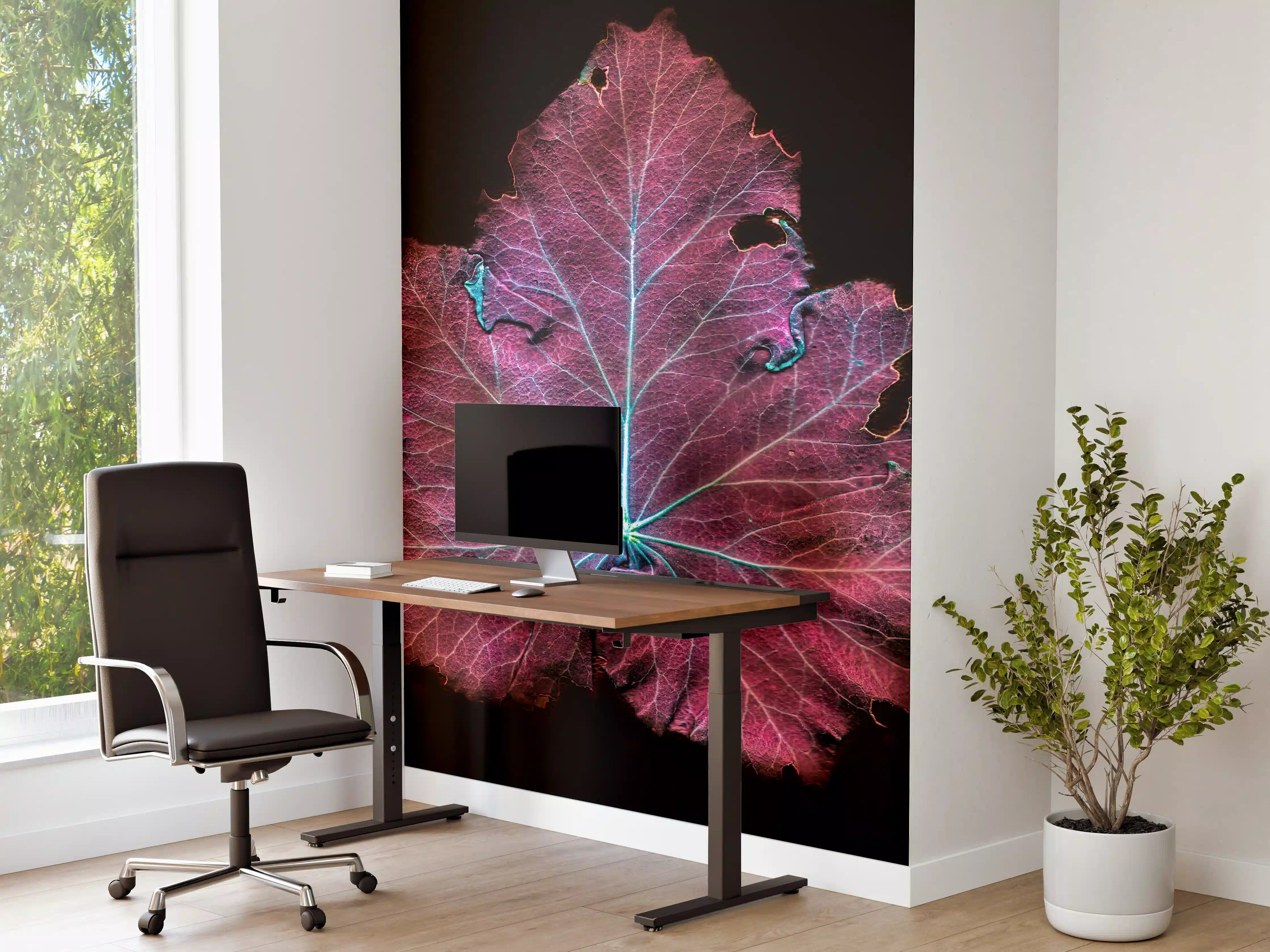 Büro Wandgestaltung - Rötliches Blatt auf schwarzem Hintergrund