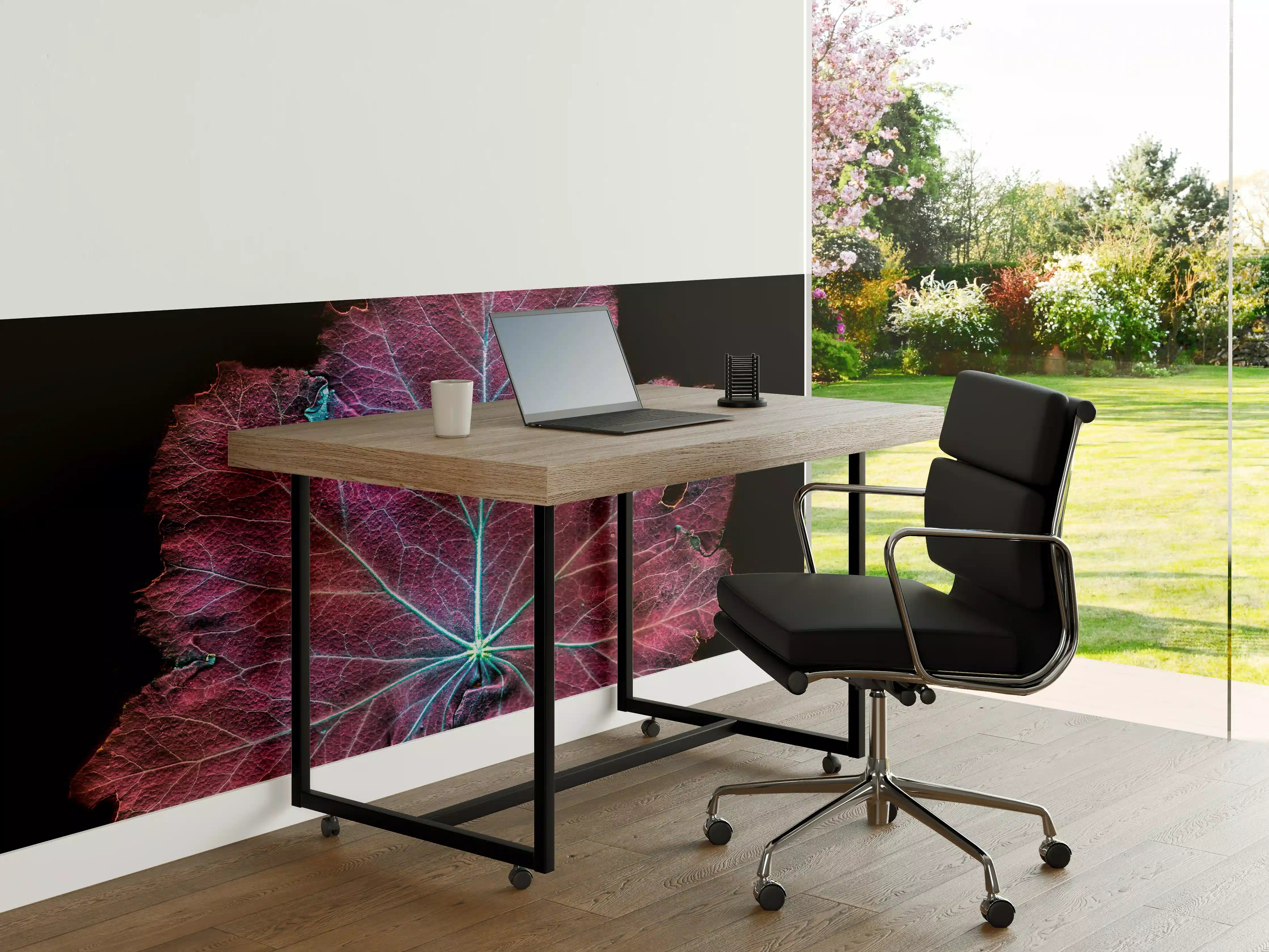 Büro Wandgestaltung - Rötliches Blatt auf schwarzem Hintergrund