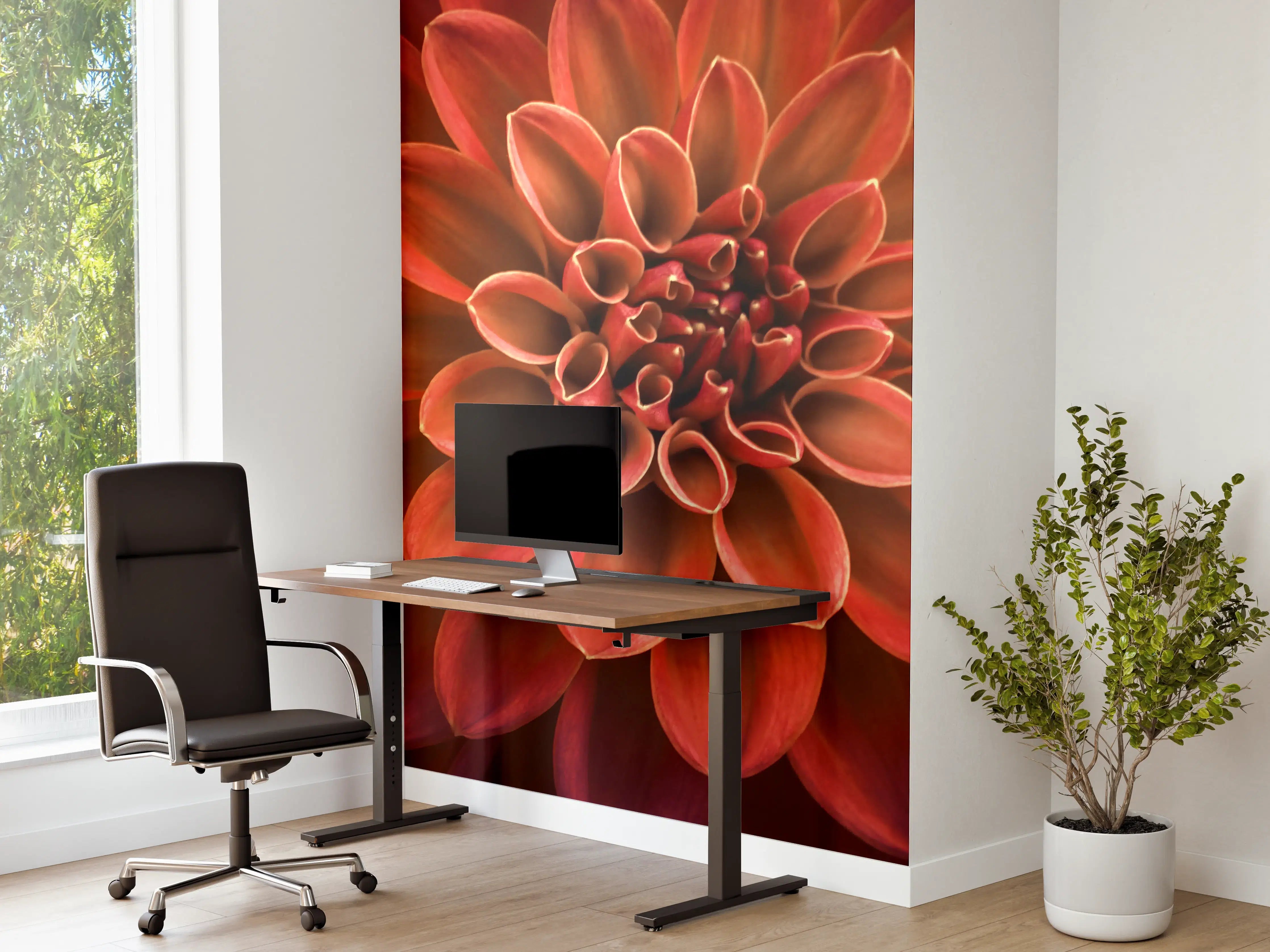 Büro Wandgestaltung - Rosa und lila Dahlienblütenblätter