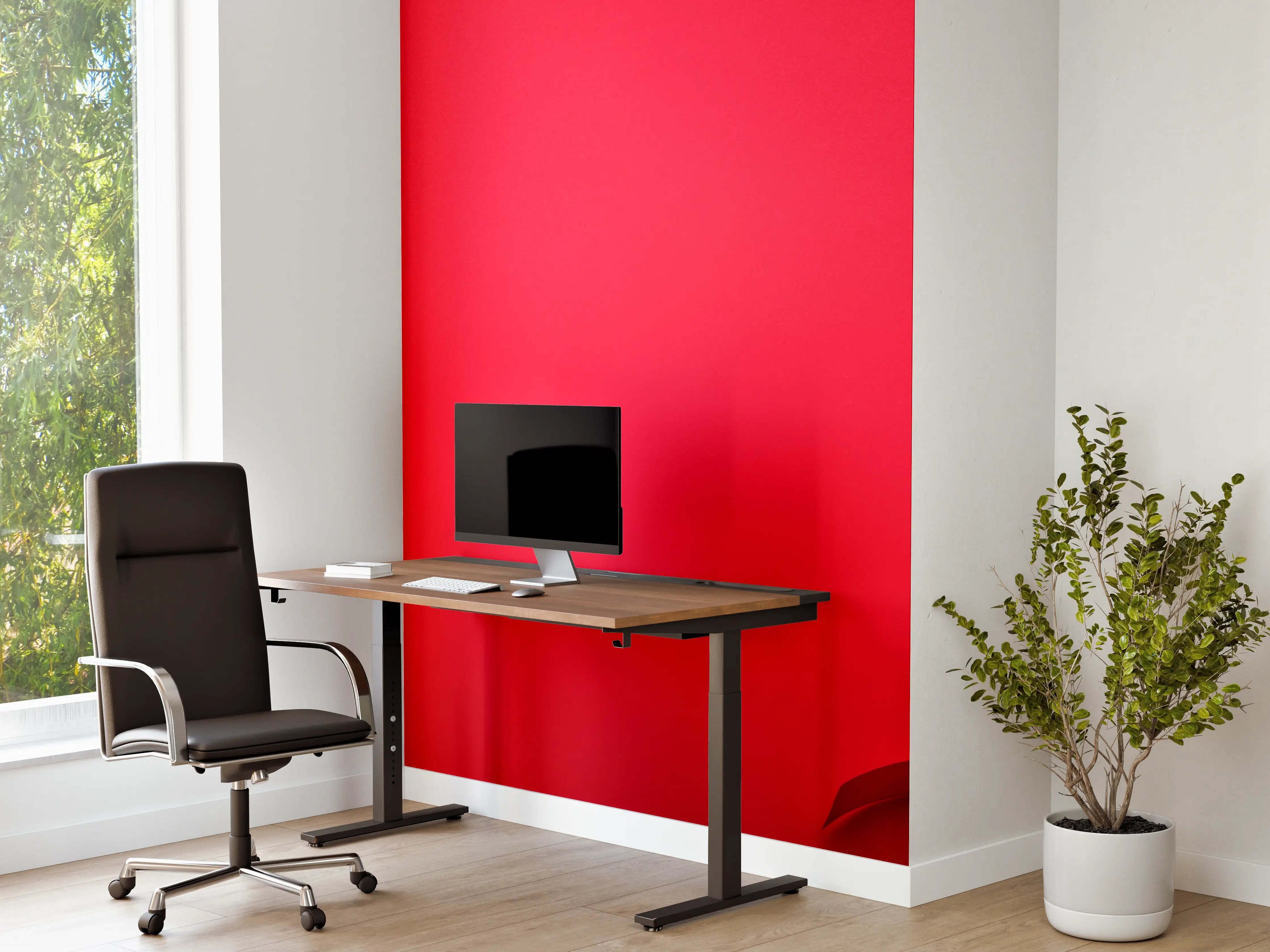Büro Wandgestaltung - Rosengeschenk auf rotem Hintergrund