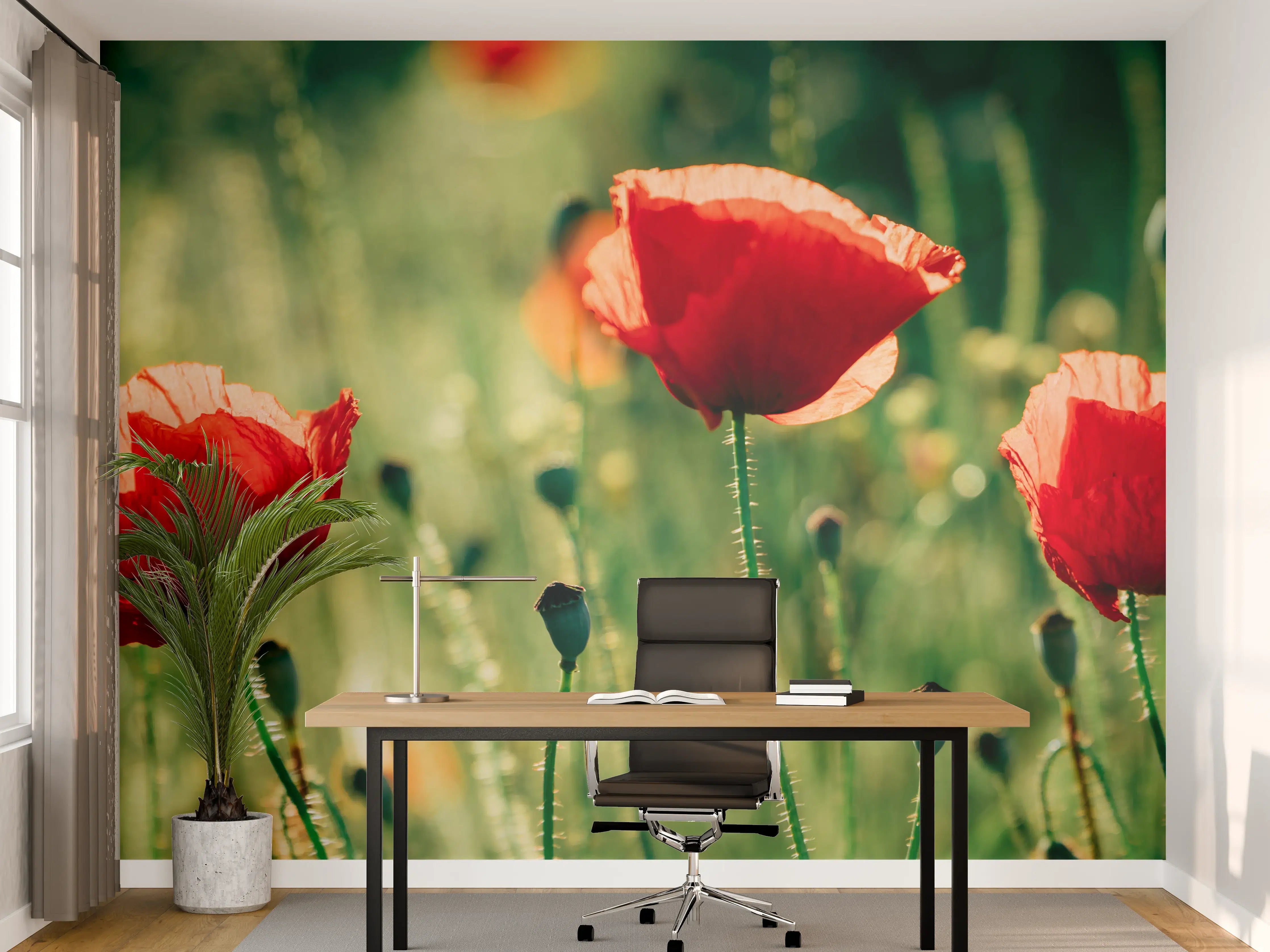 Büro Wandgestaltung - Rote Mohnblumen Sommerwiese